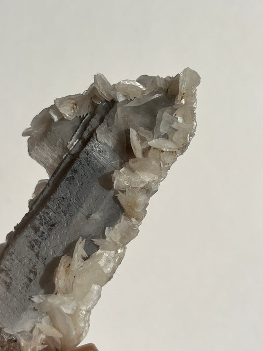 Midnight Bloom Quartz Specimen F