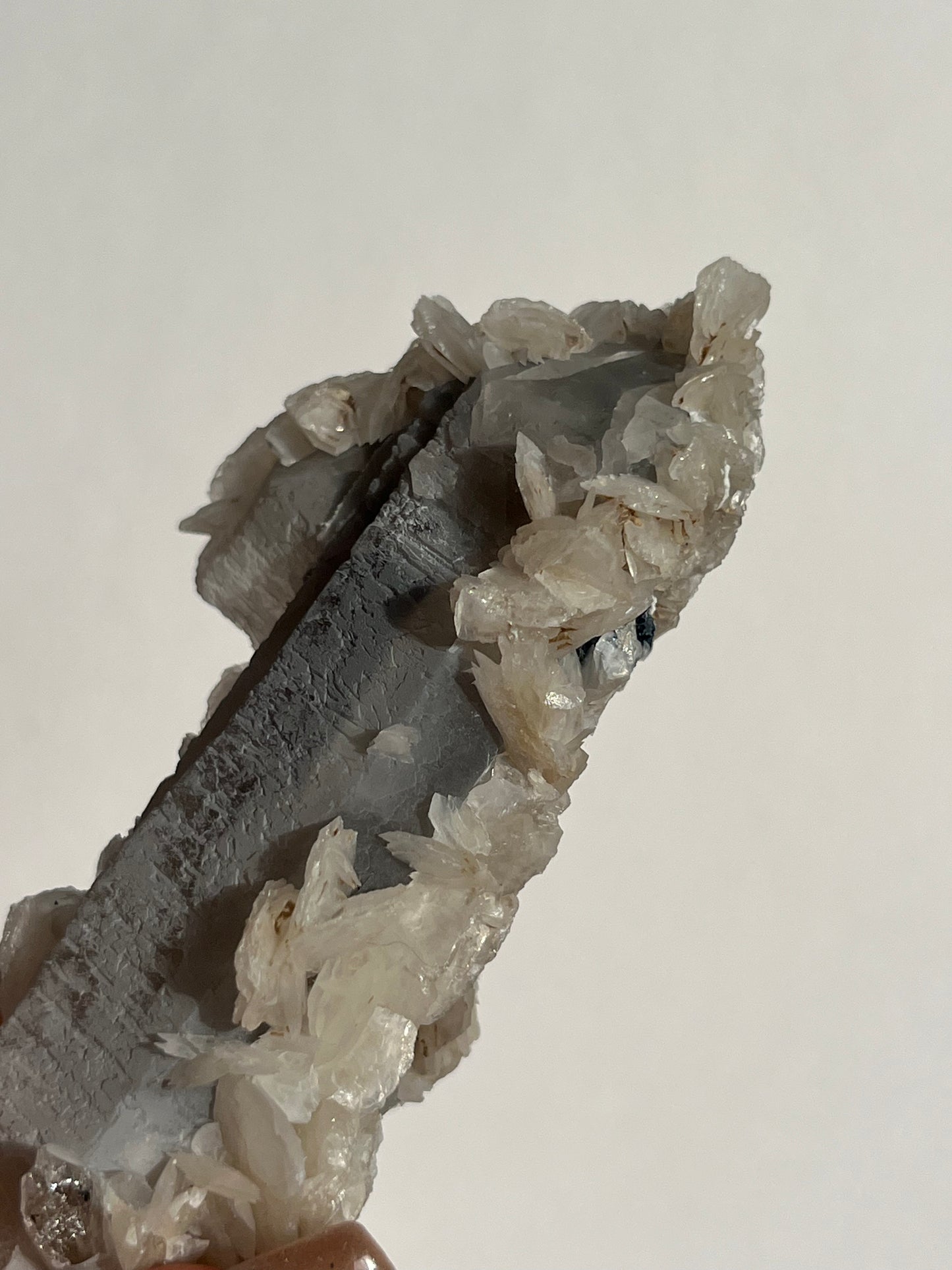 Midnight Bloom Quartz Specimen F