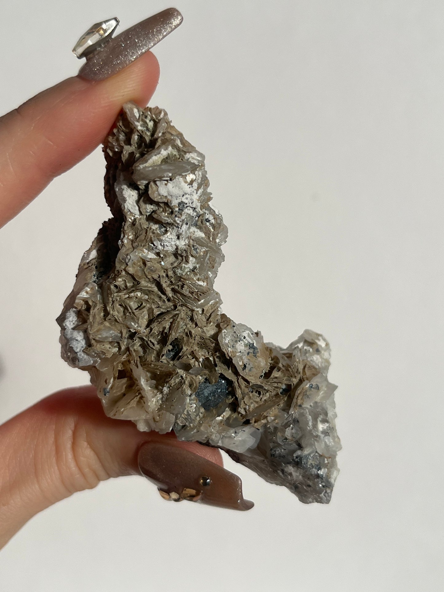 Midnight Bloom Quartz Specimen G