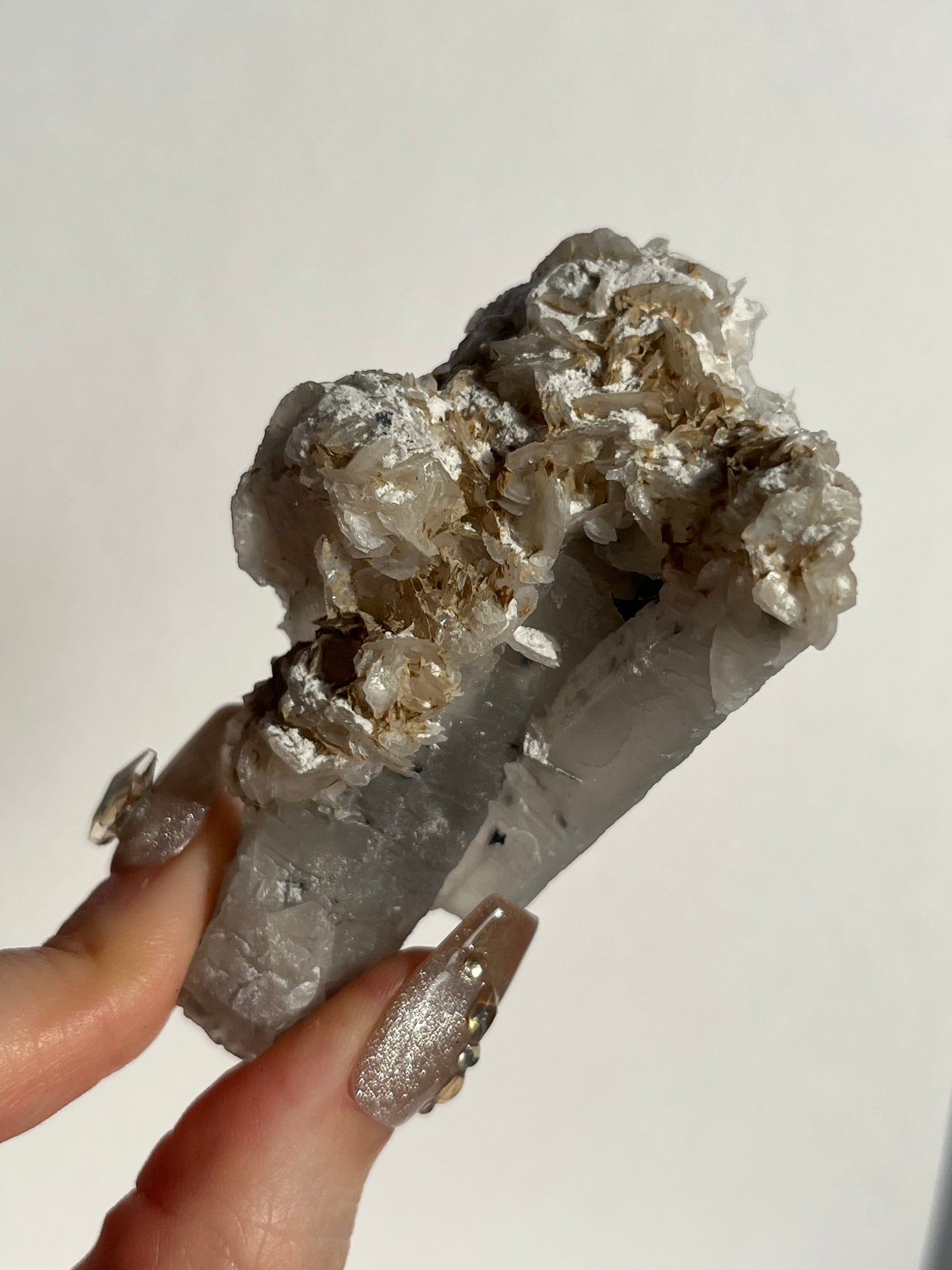 Midnight Bloom Quartz Specimen H