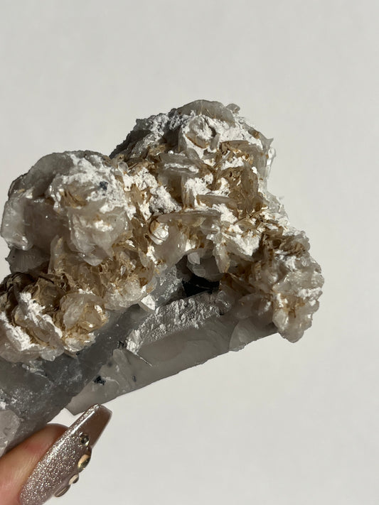 Midnight Bloom Quartz Specimen H