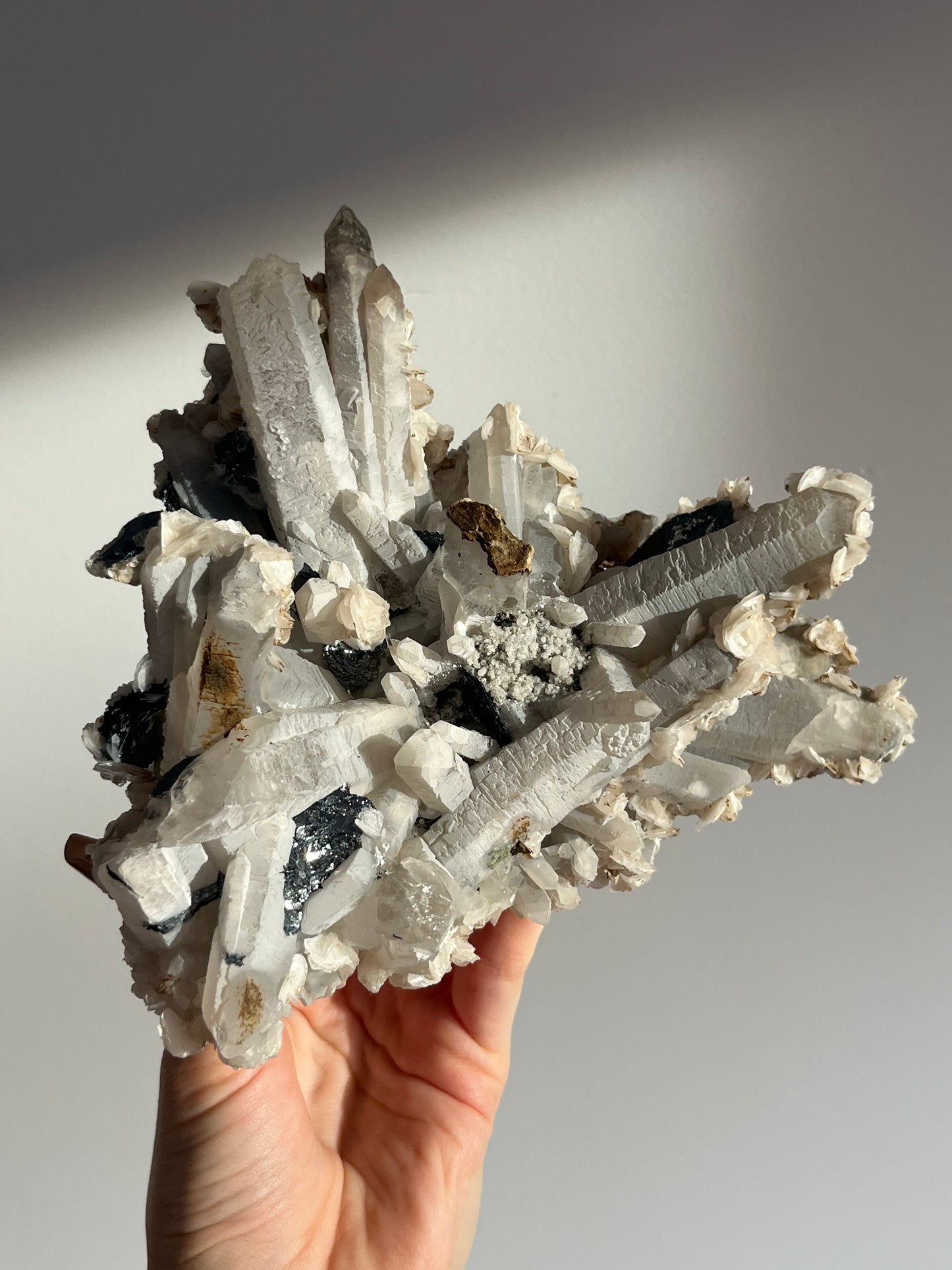 Midnight Bloom Quartz Specimen A