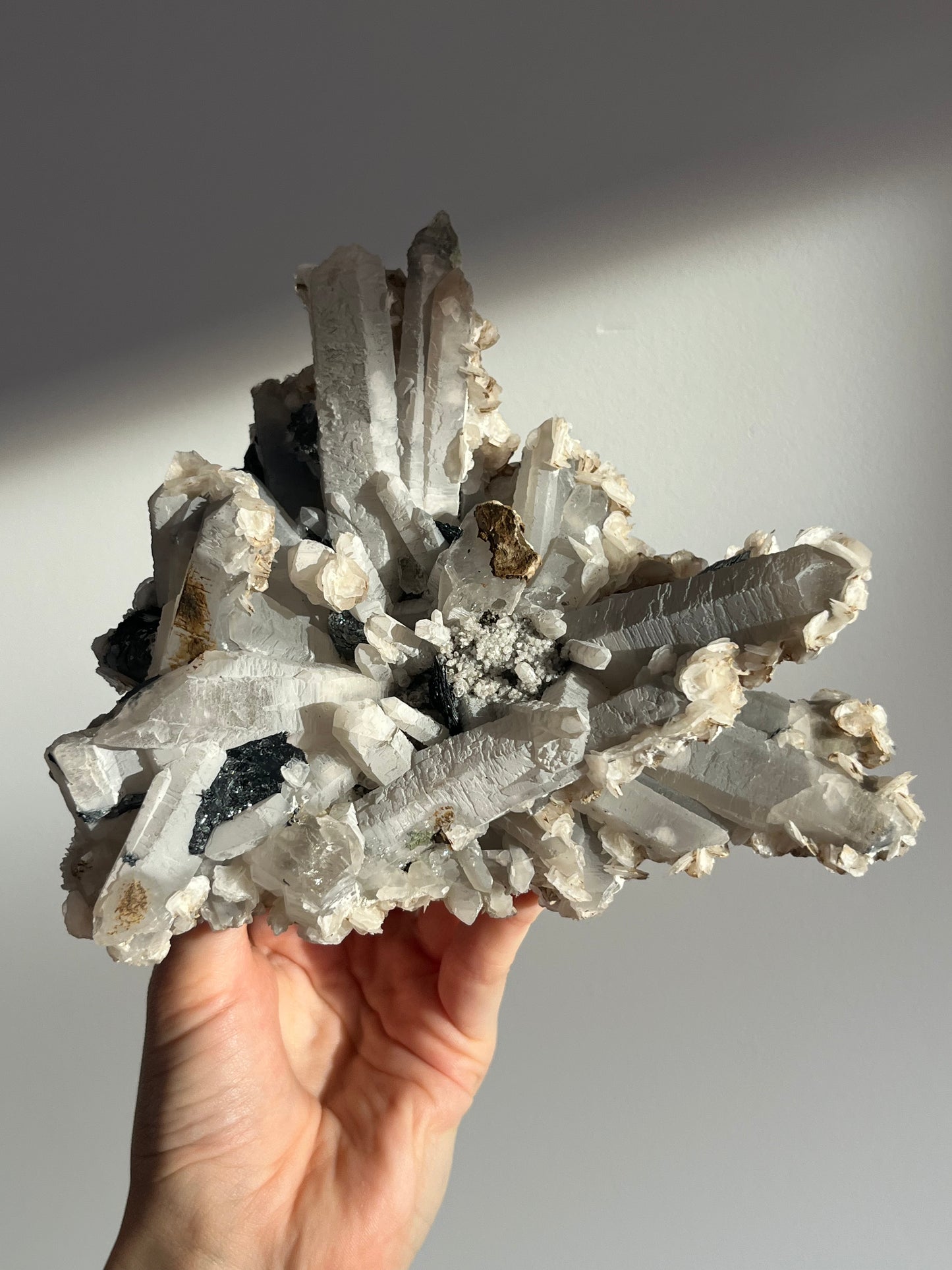 Midnight Bloom Quartz Specimen A