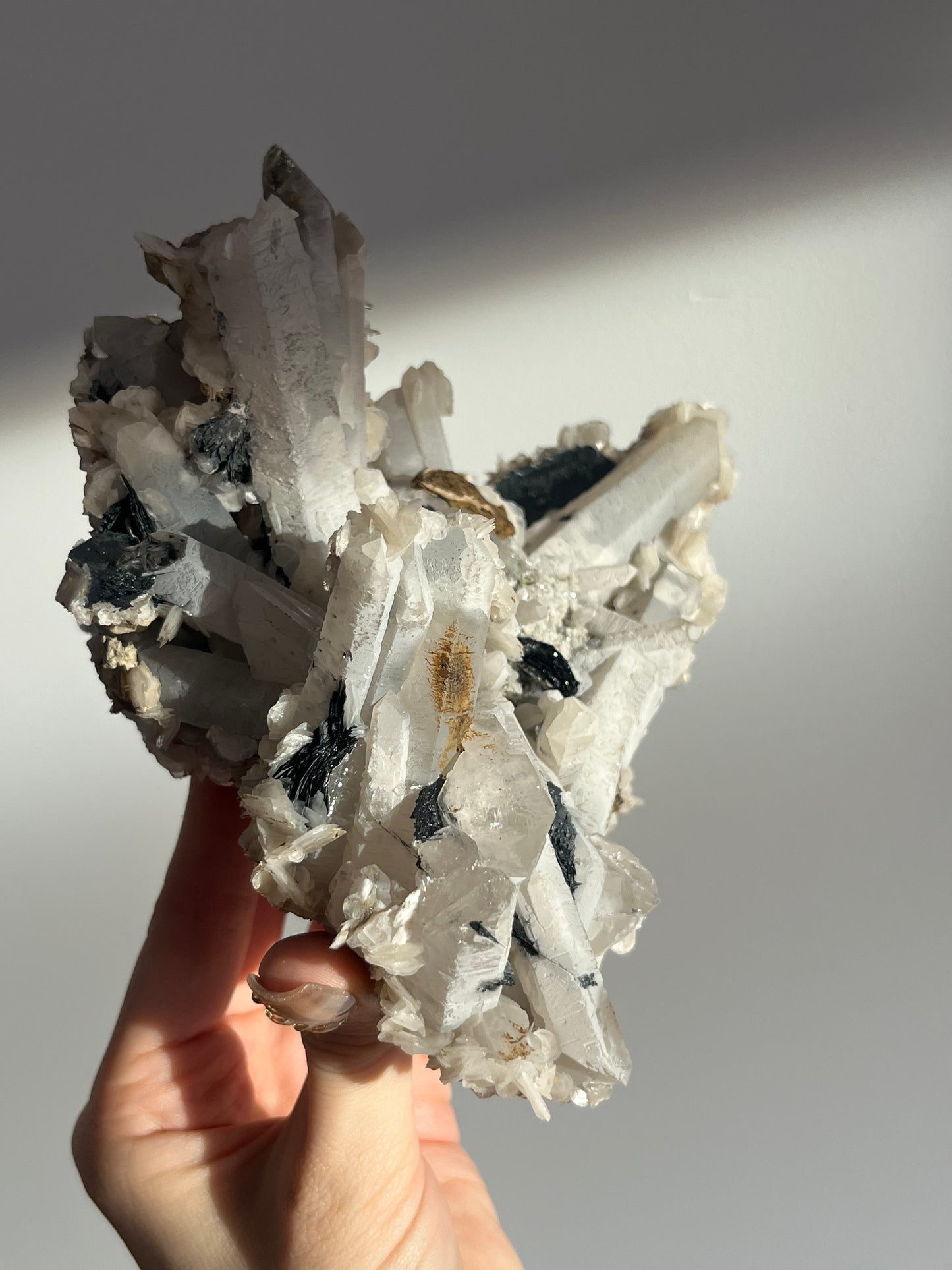 Midnight Bloom Quartz Specimen A
