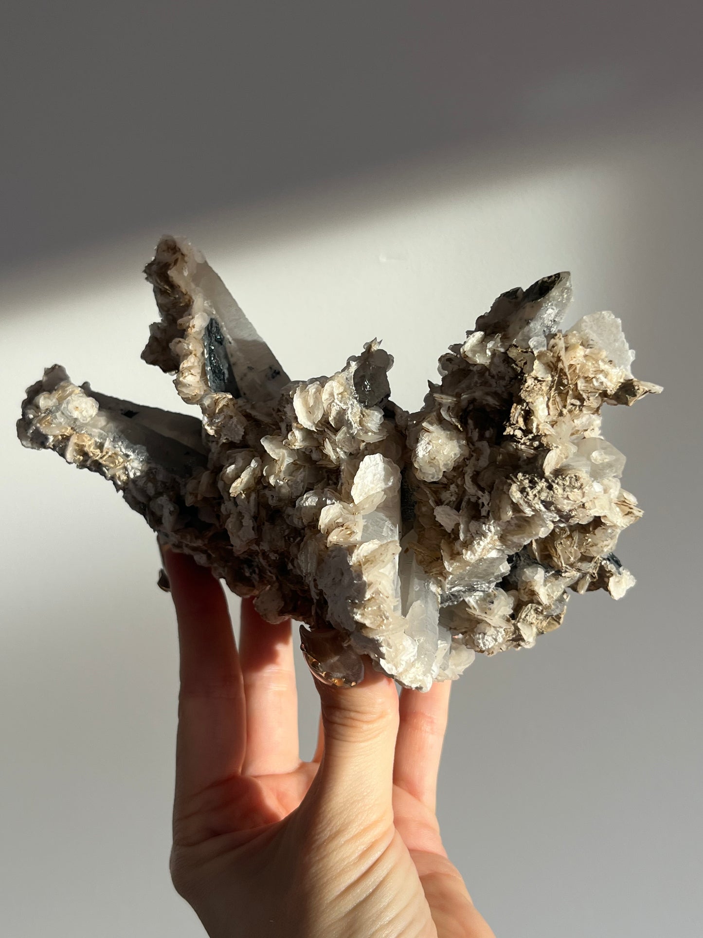 Midnight Bloom Quartz Specimen A