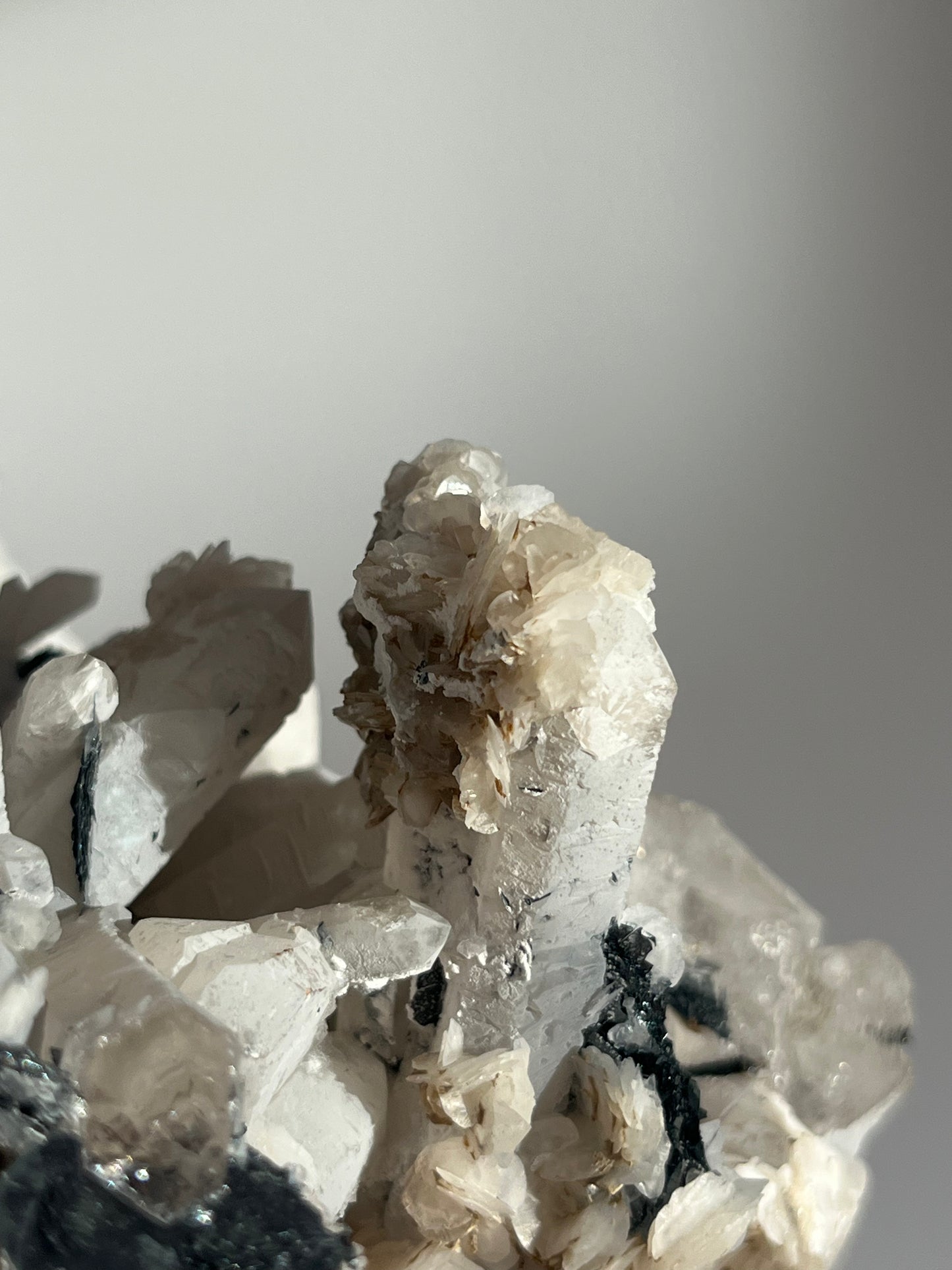 Midnight Bloom Quartz Specimen A