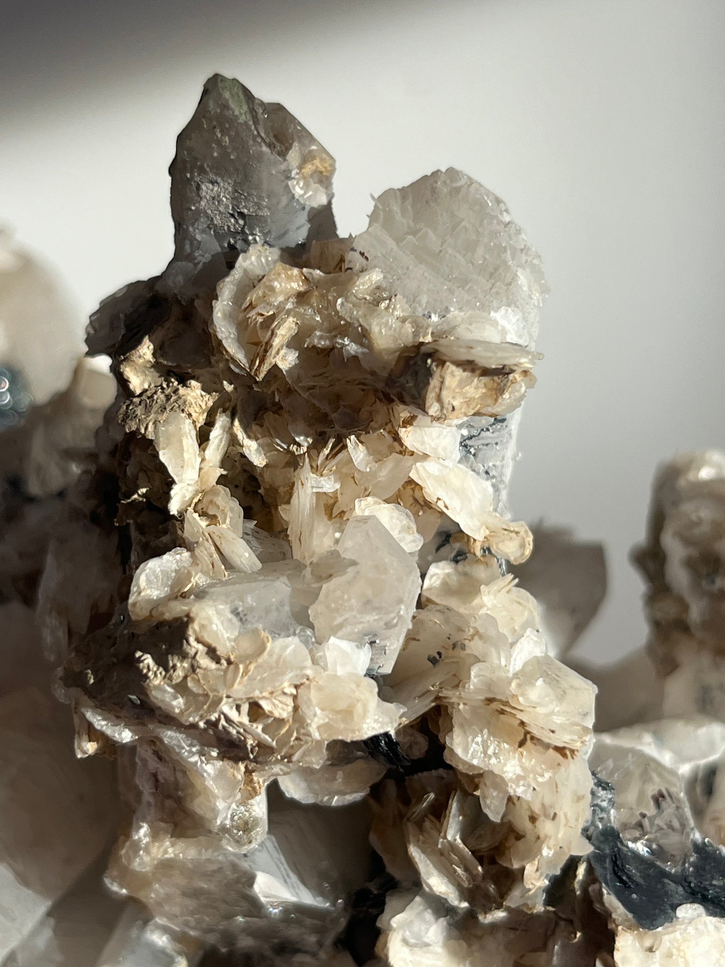 Midnight Bloom Quartz Specimen A