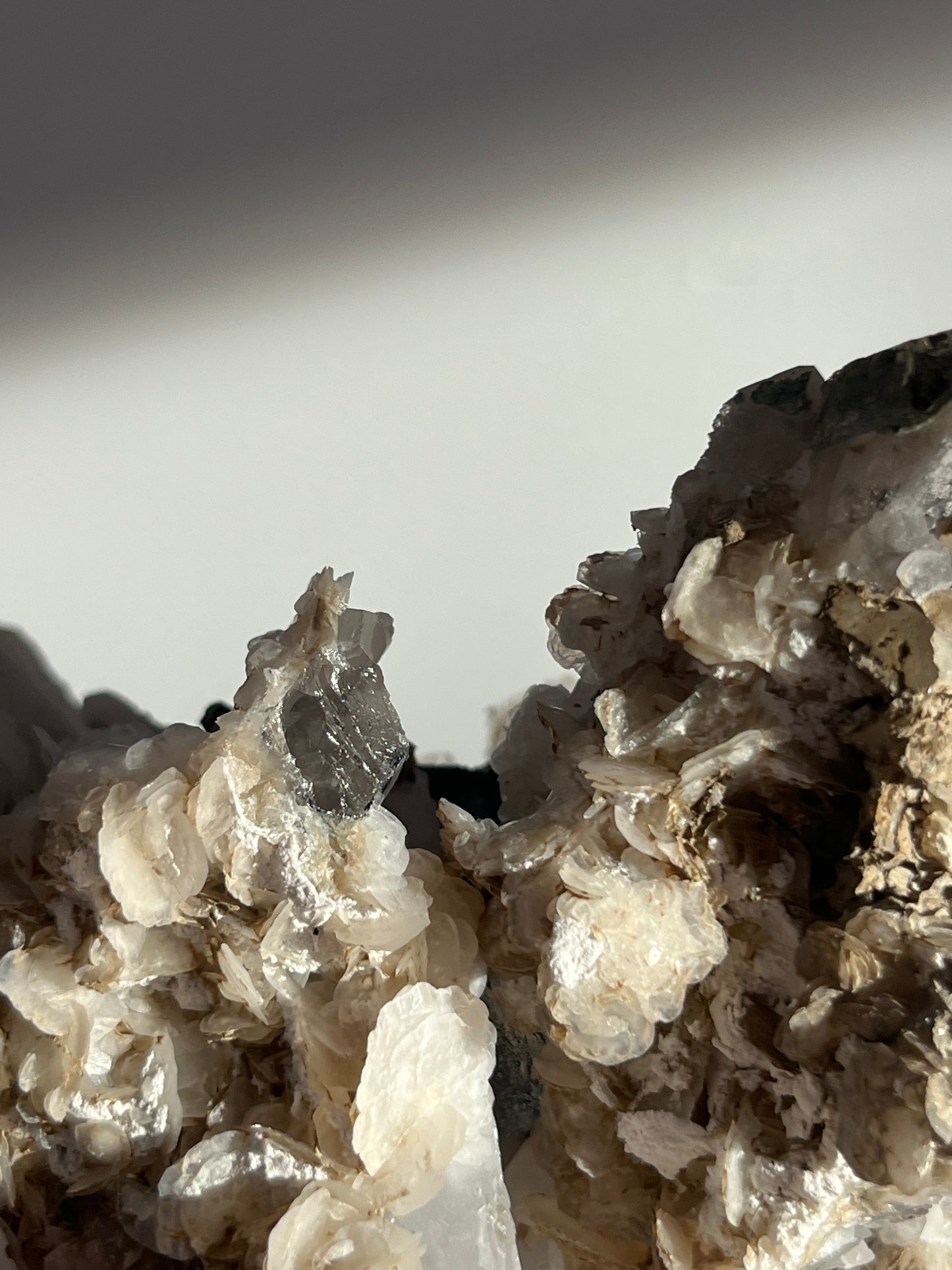 Midnight Bloom Quartz Specimen A