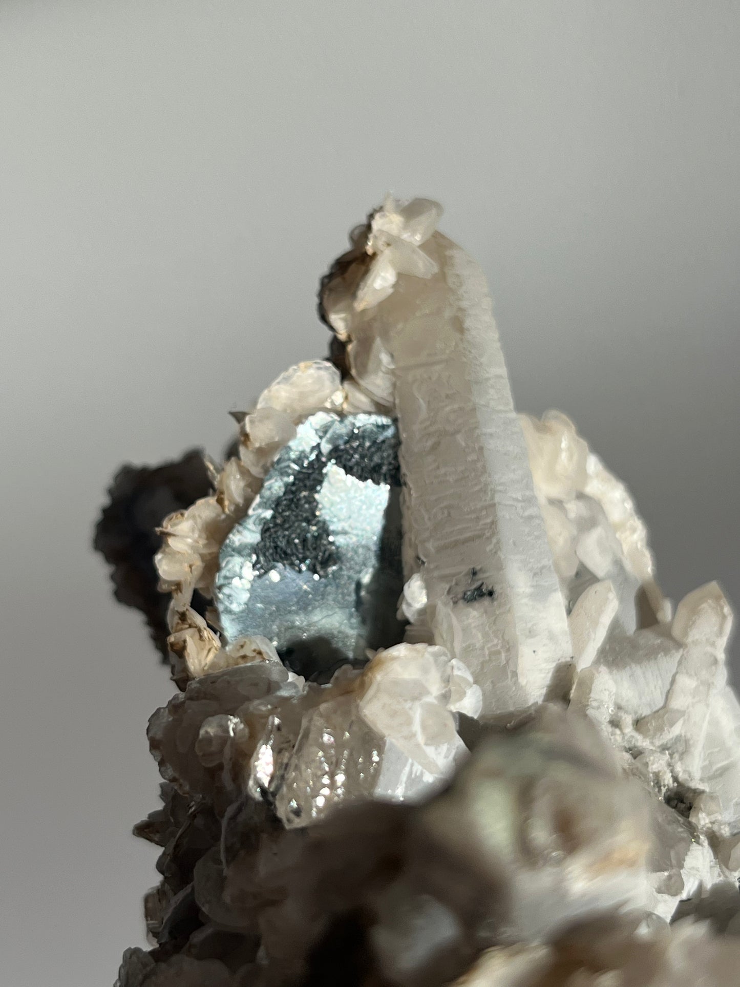 Midnight Bloom Quartz Specimen A