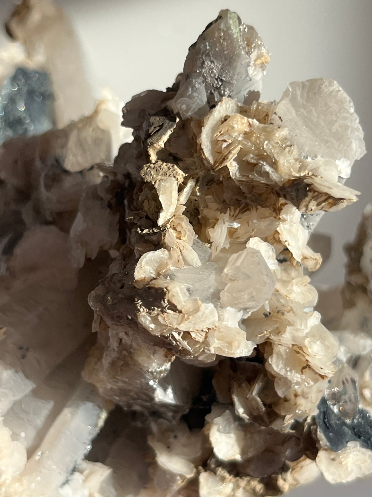 Midnight Bloom Quartz Specimen A