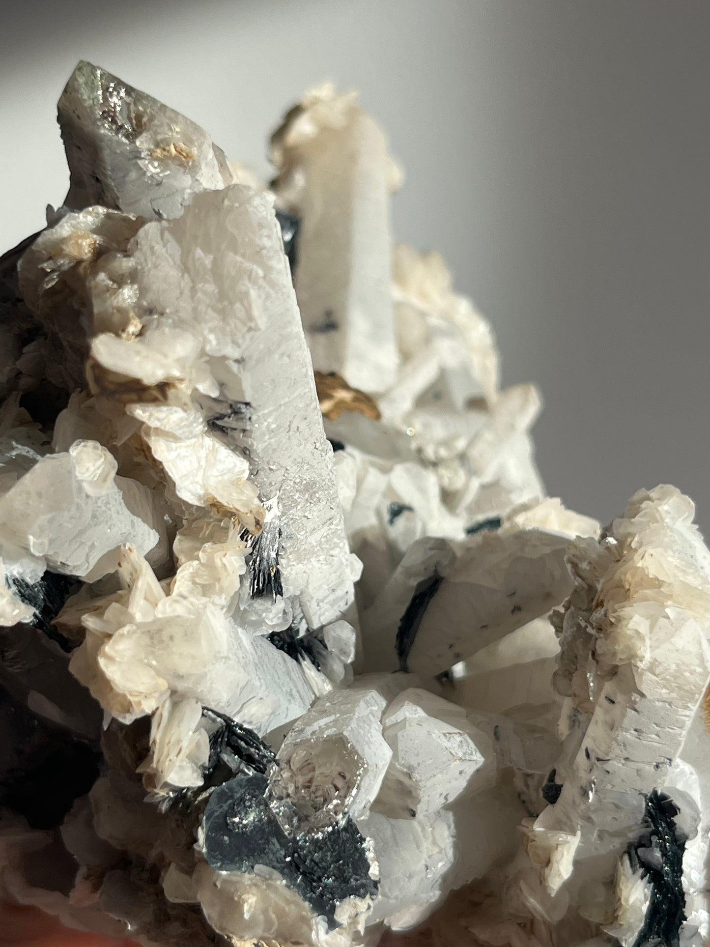 Midnight Bloom Quartz Specimen A