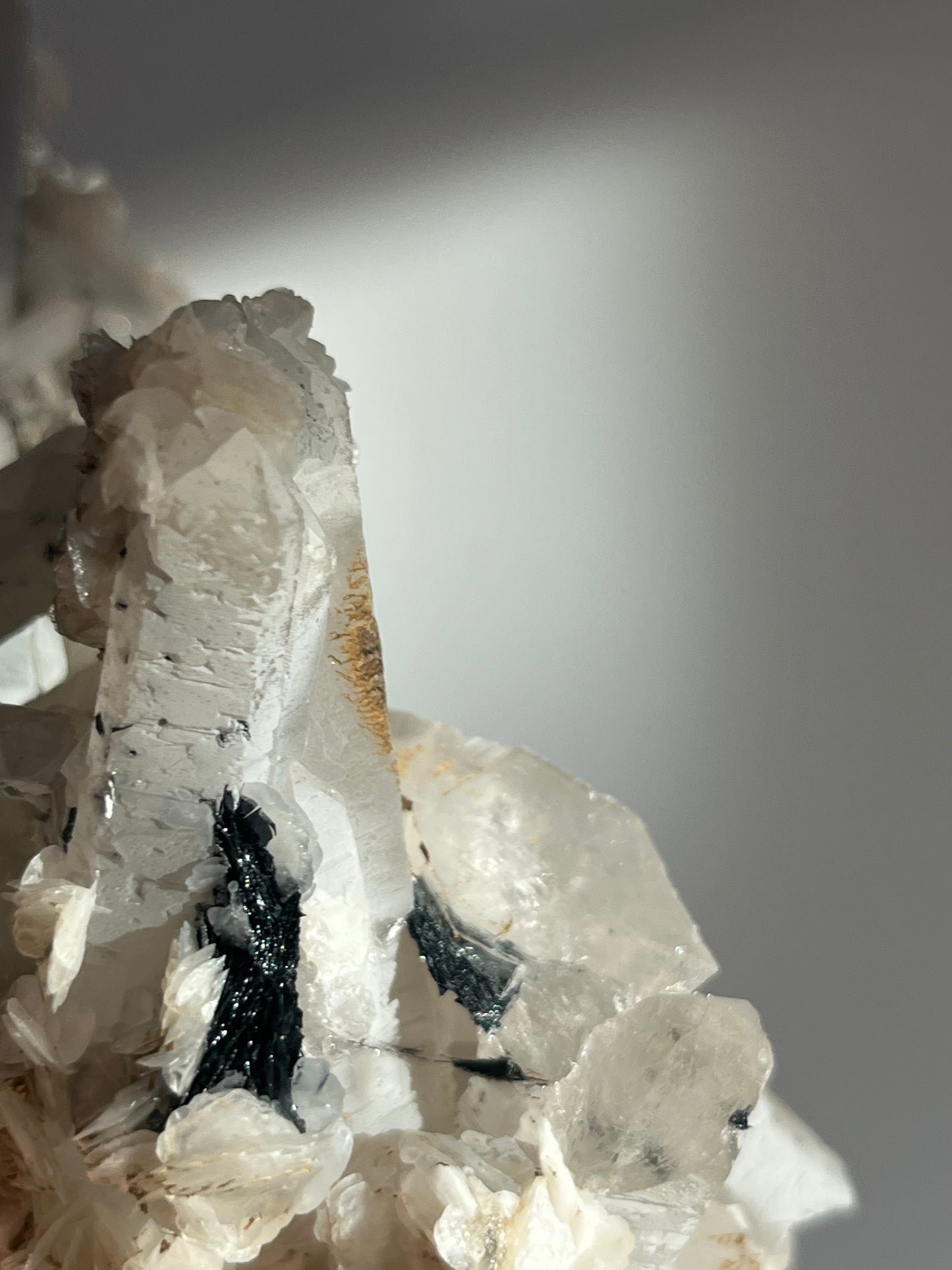 Midnight Bloom Quartz Specimen A