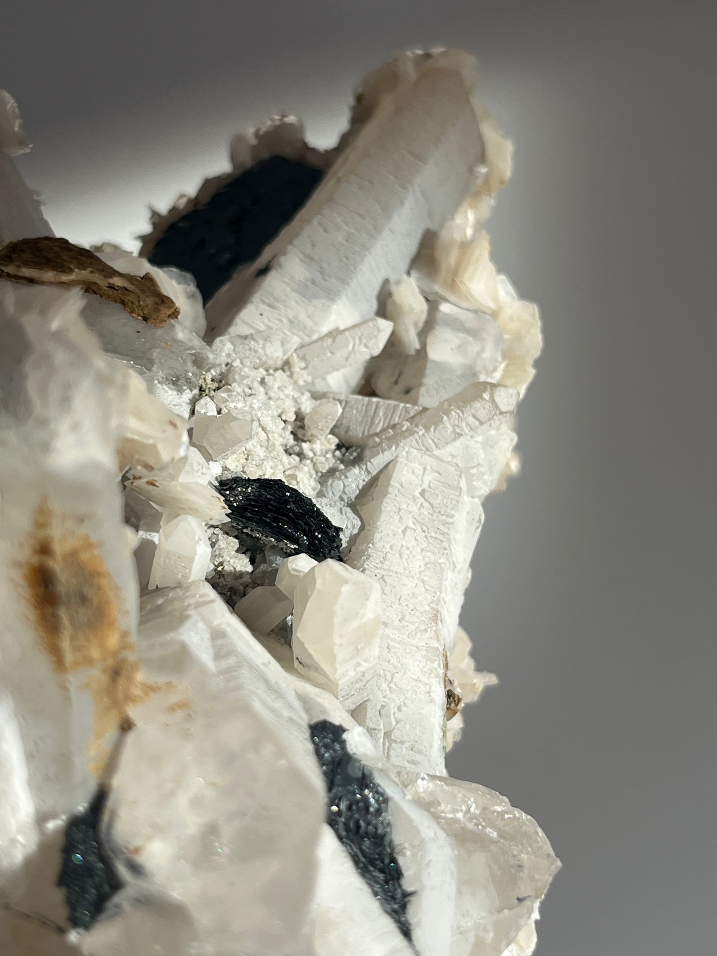 Midnight Bloom Quartz Specimen A