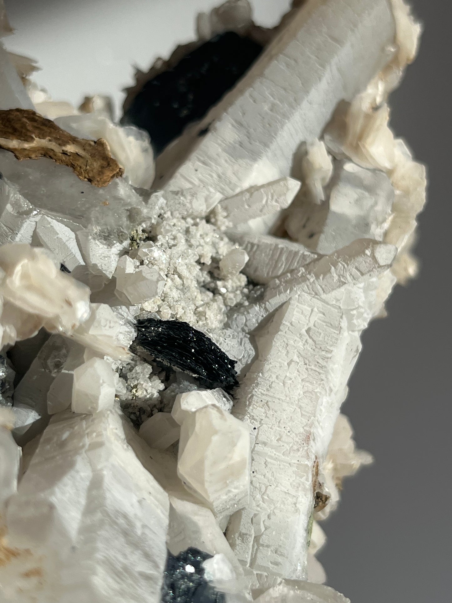 Midnight Bloom Quartz Specimen A