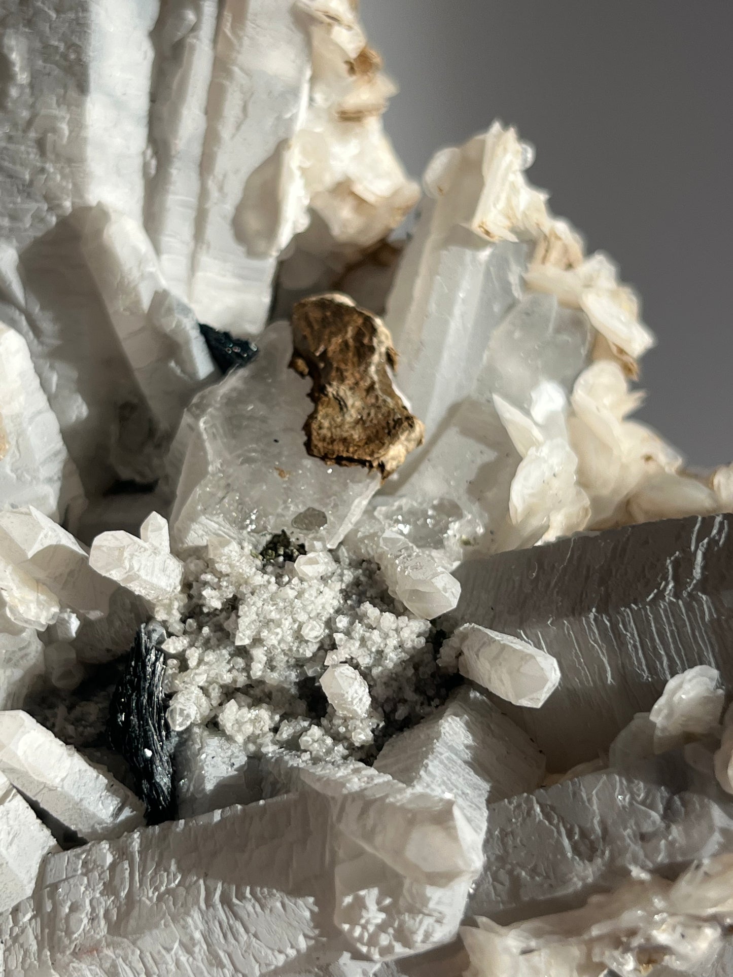 Midnight Bloom Quartz Specimen A