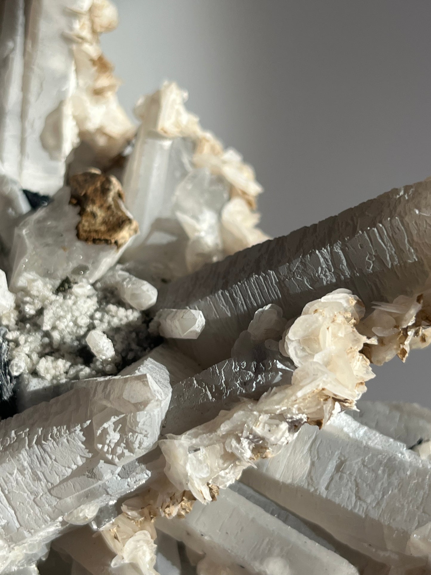 Midnight Bloom Quartz Specimen A