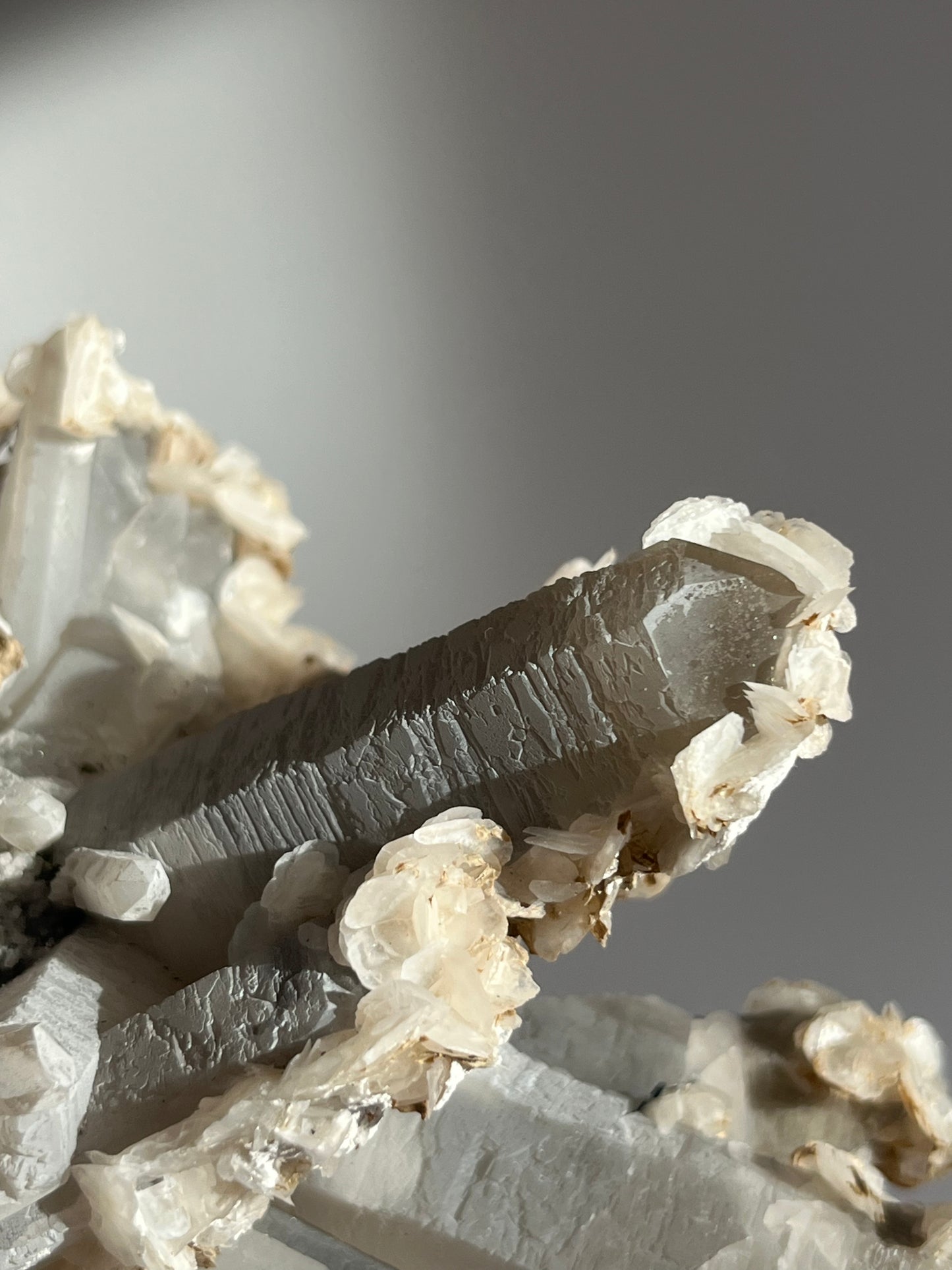 Midnight Bloom Quartz Specimen A