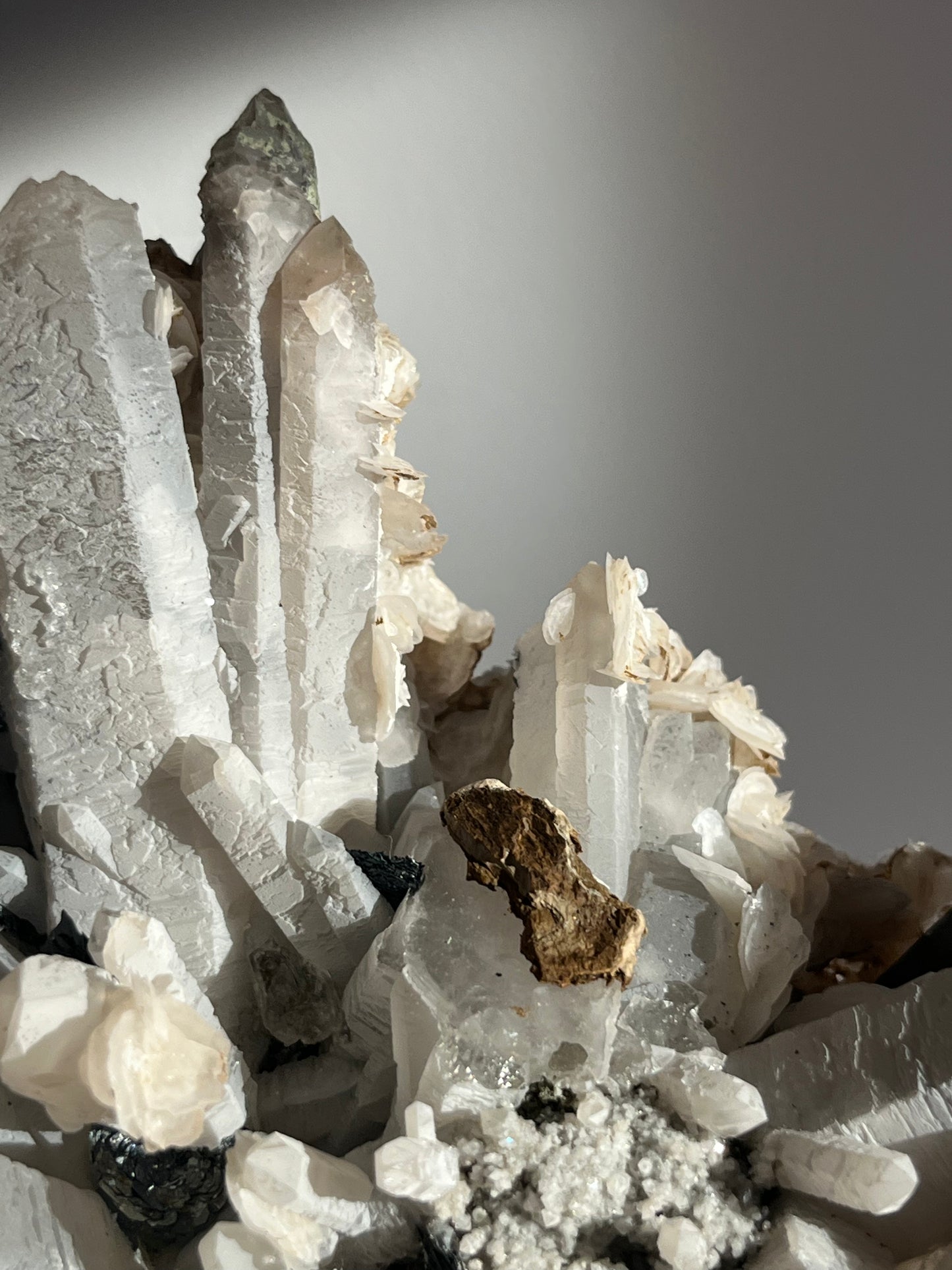 Midnight Bloom Quartz Specimen A