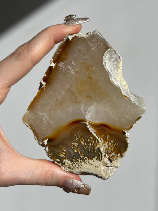 Natural Carnelian Agate and Sagenite Slab B