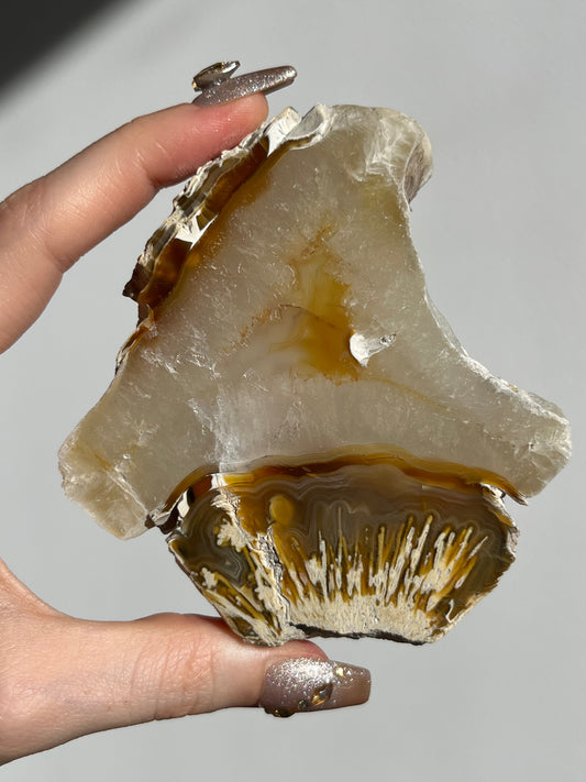 Natural Carnelian Agate and Sagenite Slab C