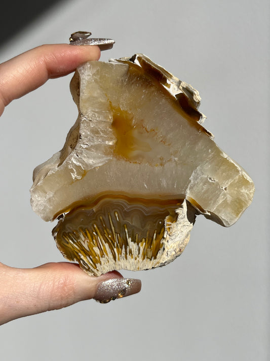 Natural Carnelian Agate and Sagenite Slab D