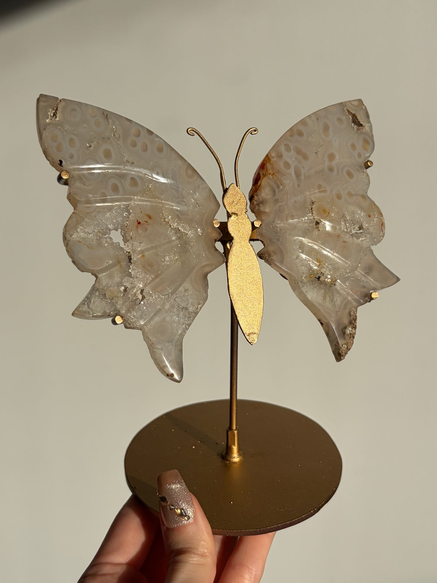 Jelly Orbicular Nebula Agate with Natural Carnelian Butterfly Wings on Stand (Repaired)