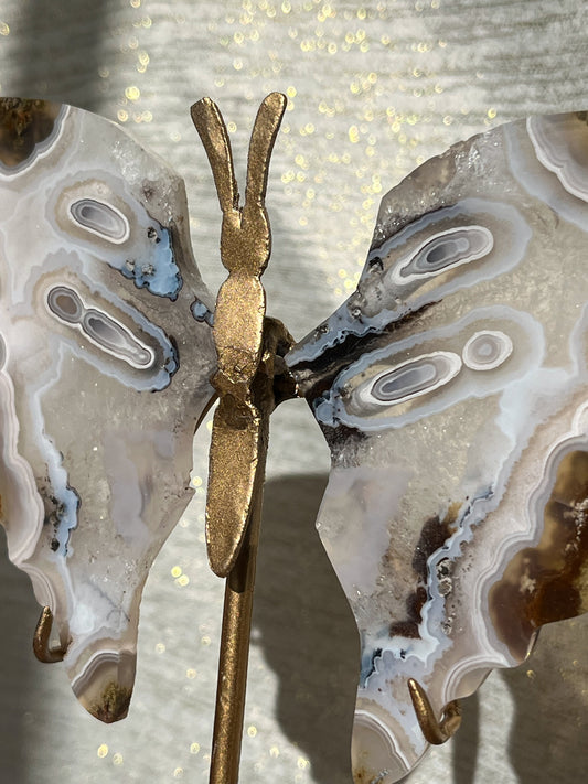 Orbicular Nebula Agate Butterfly Wings on Gold Stand