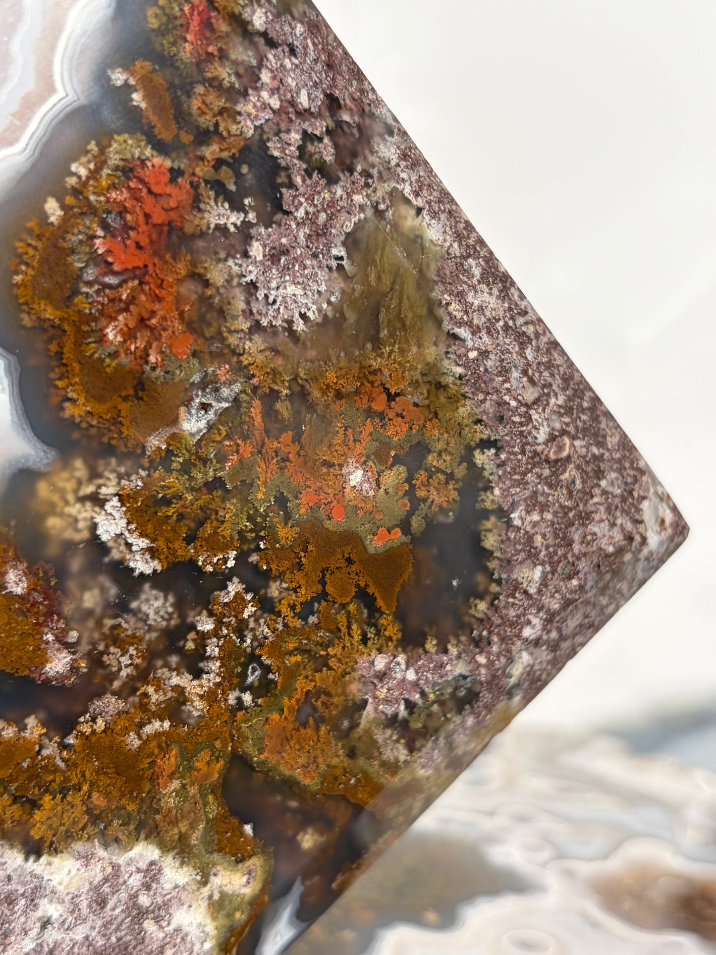 “The Hanging Gardens” Nebula Agate with Red Moss Faceted Diamond Carving Statement