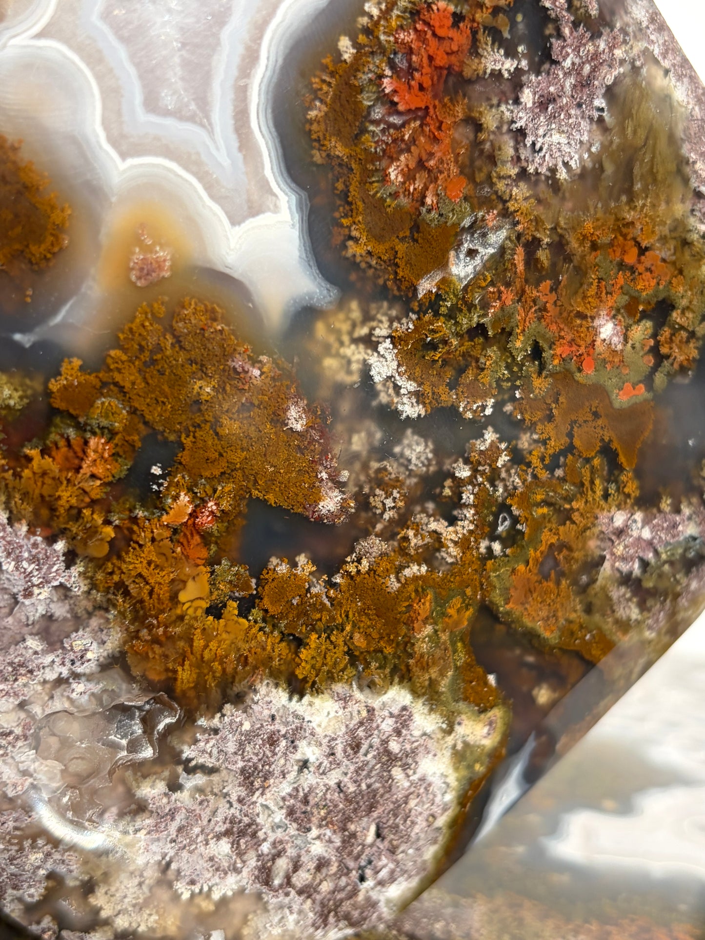 “The Hanging Gardens” Nebula Agate with Red Moss Faceted Diamond Carving Statement
