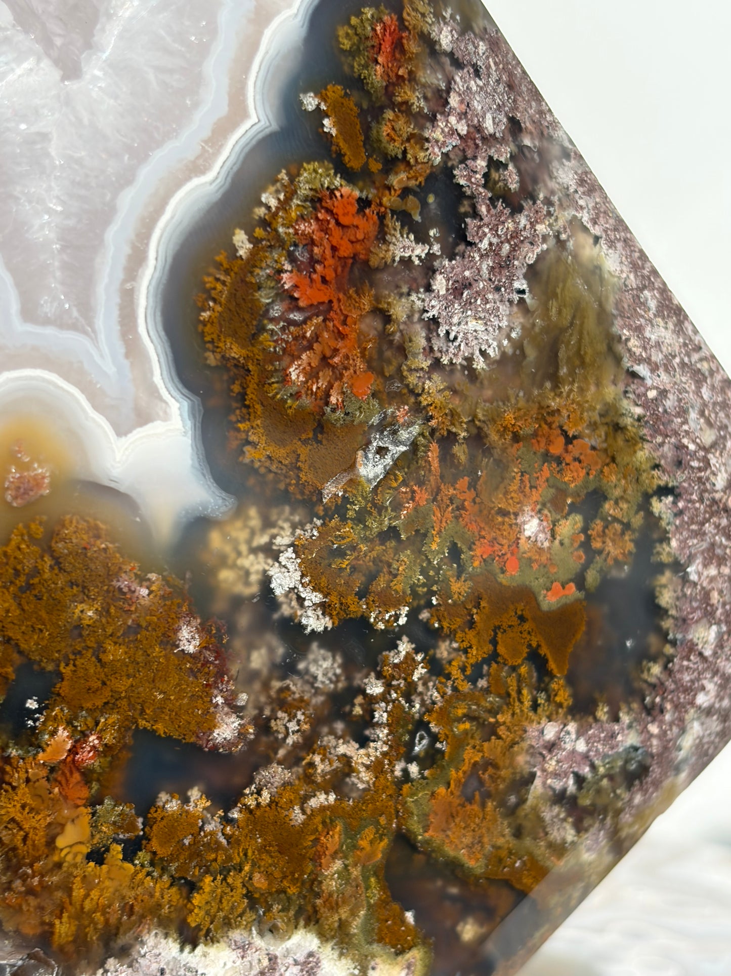 “The Hanging Gardens” Nebula Agate with Red Moss Faceted Diamond Carving Statement