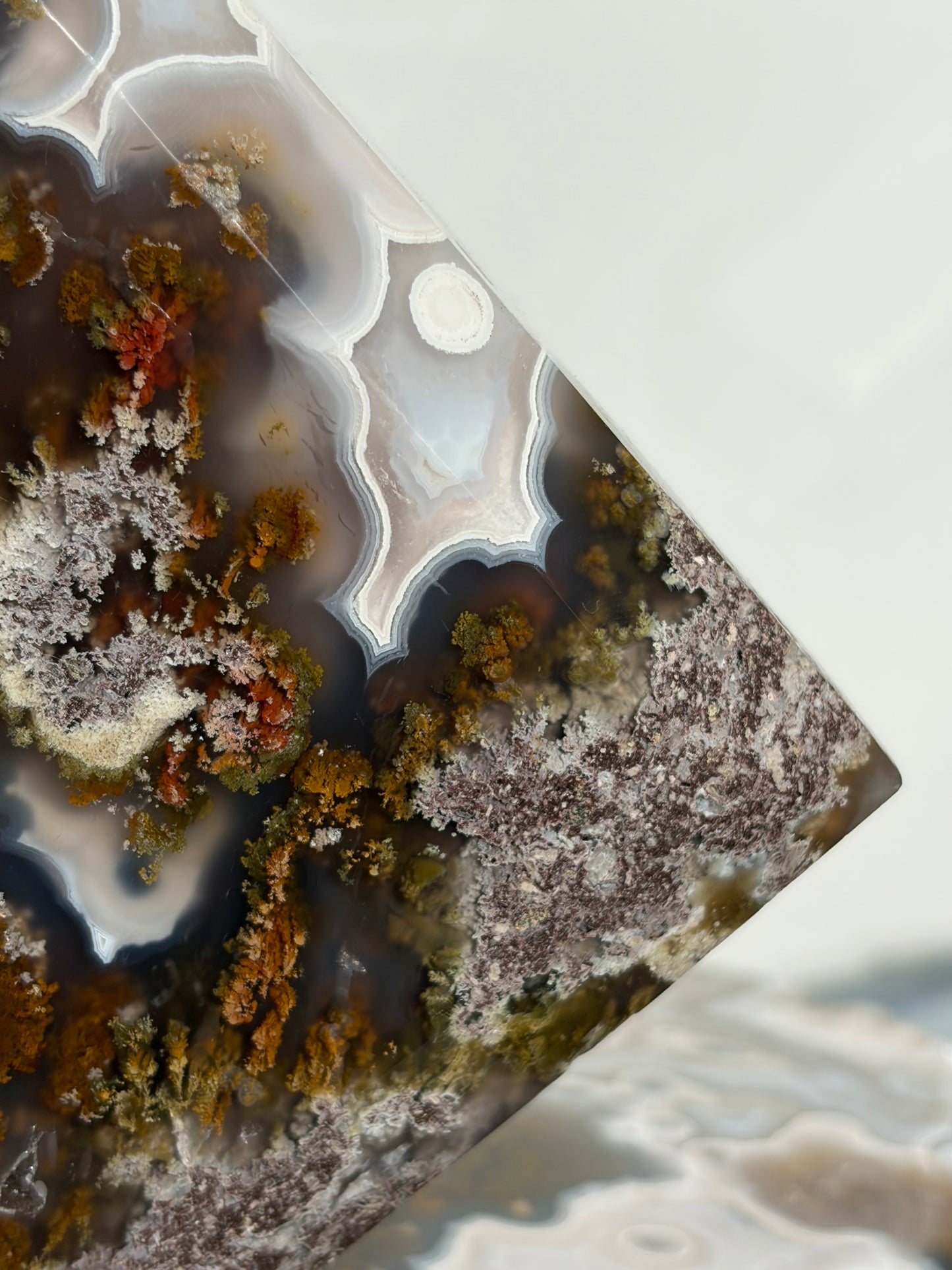 “The Hanging Gardens” Nebula Agate with Red Moss Faceted Diamond Carving Statement