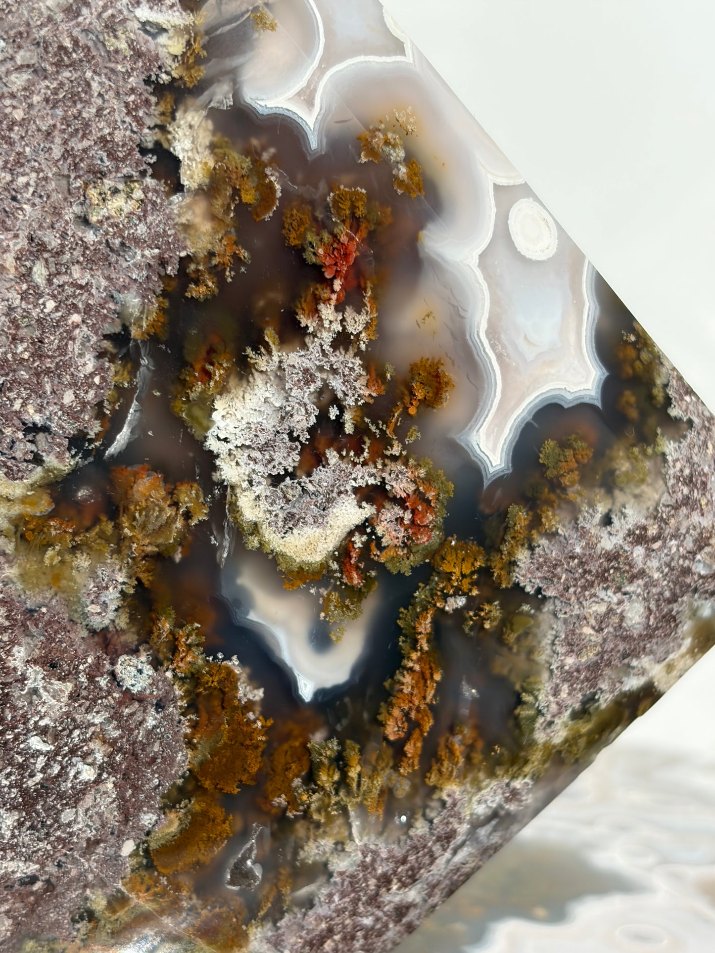 “The Hanging Gardens” Nebula Agate with Red Moss Faceted Diamond Carving Statement