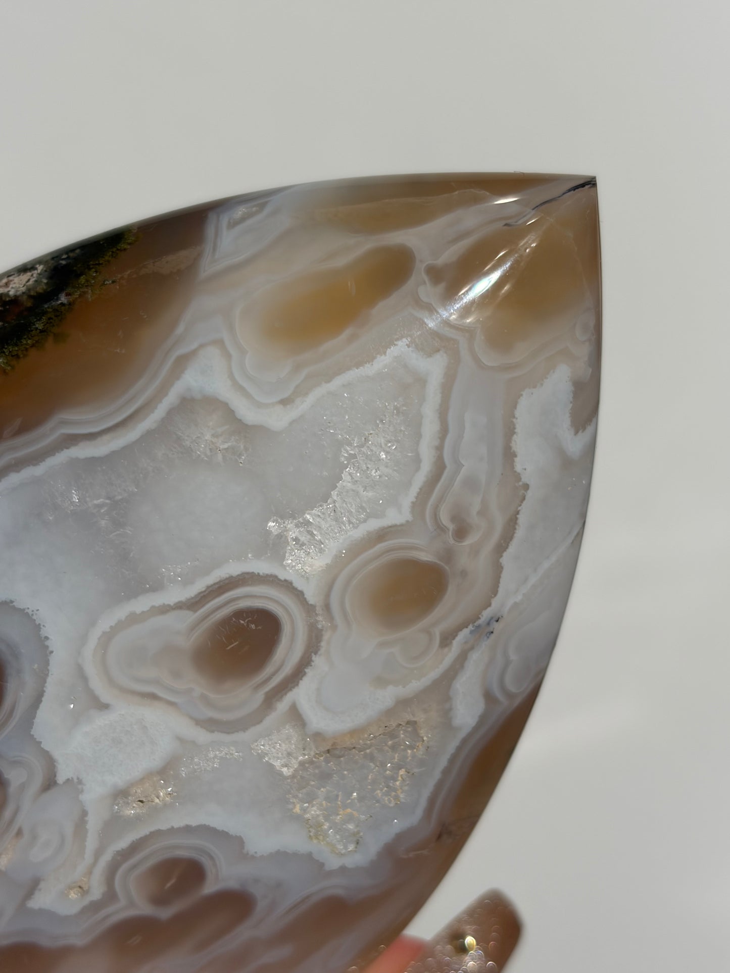 “Cyan Blooms” Jelly Orbicular Nebula Agate Flame Carving with Green Moss A