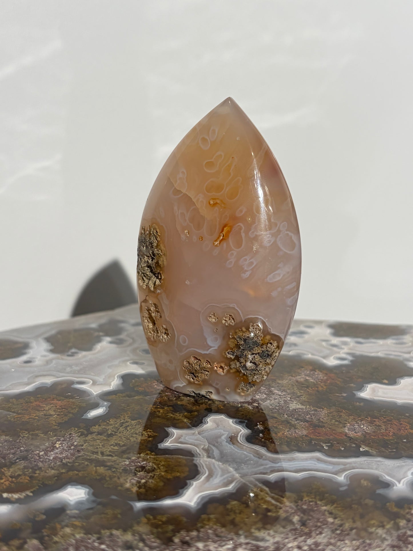 Carnelian Jelly Orbicular Nebula Agate Flame Carving C