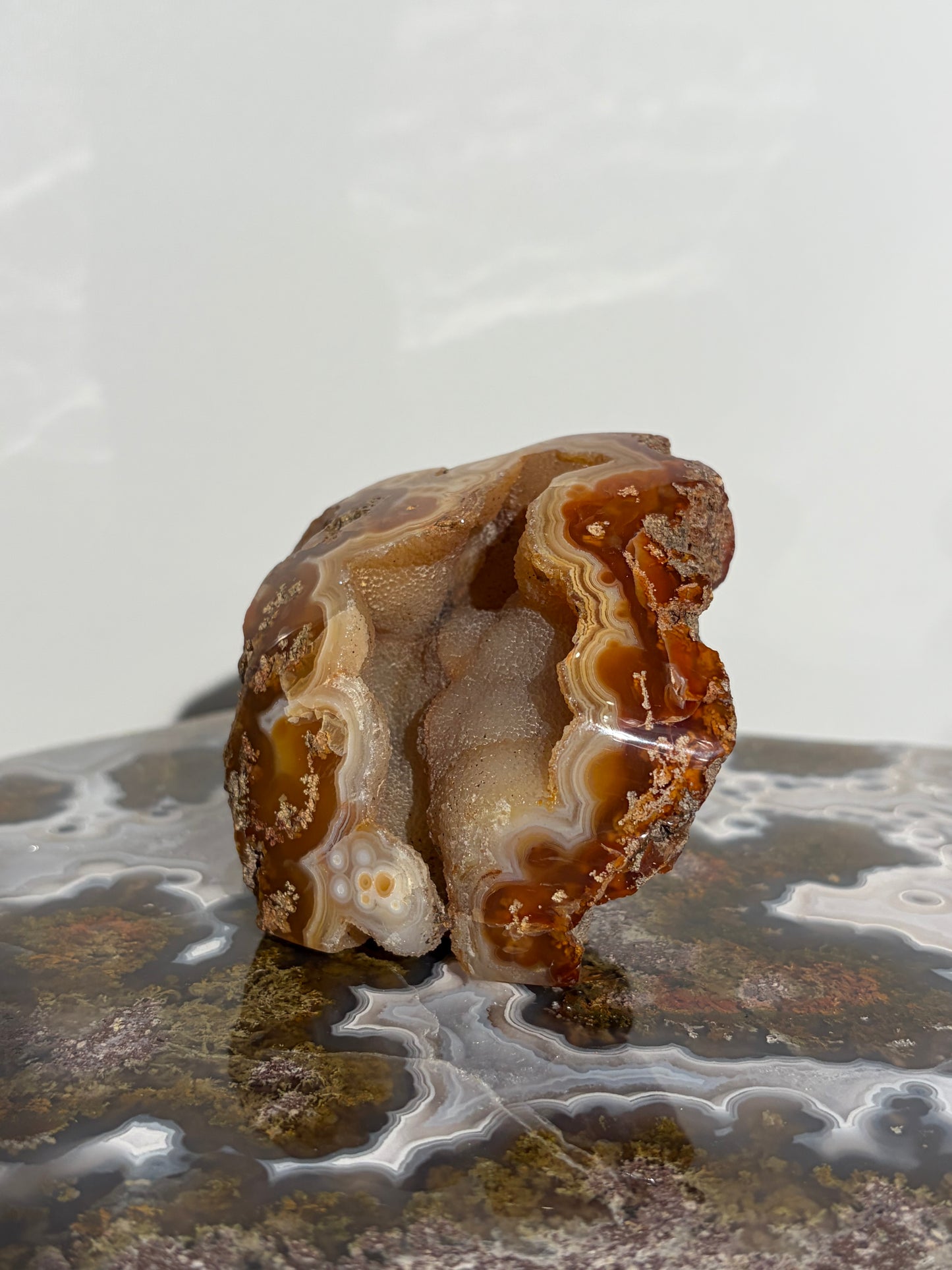 “Solar Garden” Honey World Nebula Agate with Quartz Freeform