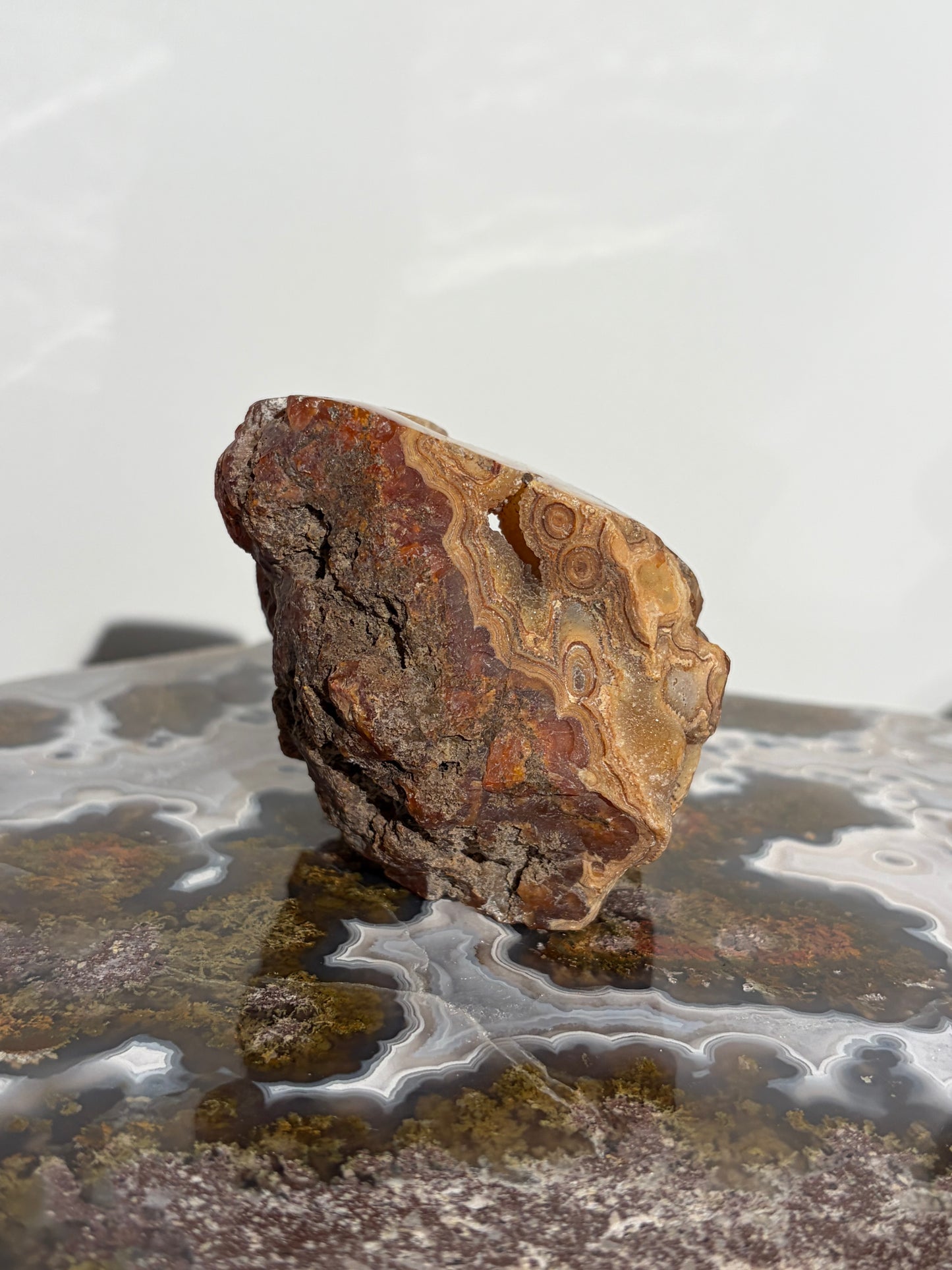 “Solar Garden” Honey World Nebula Agate with Quartz Freeform