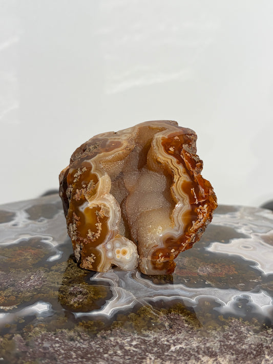 “Solar Garden” Honey World Nebula Agate with Quartz Freeform