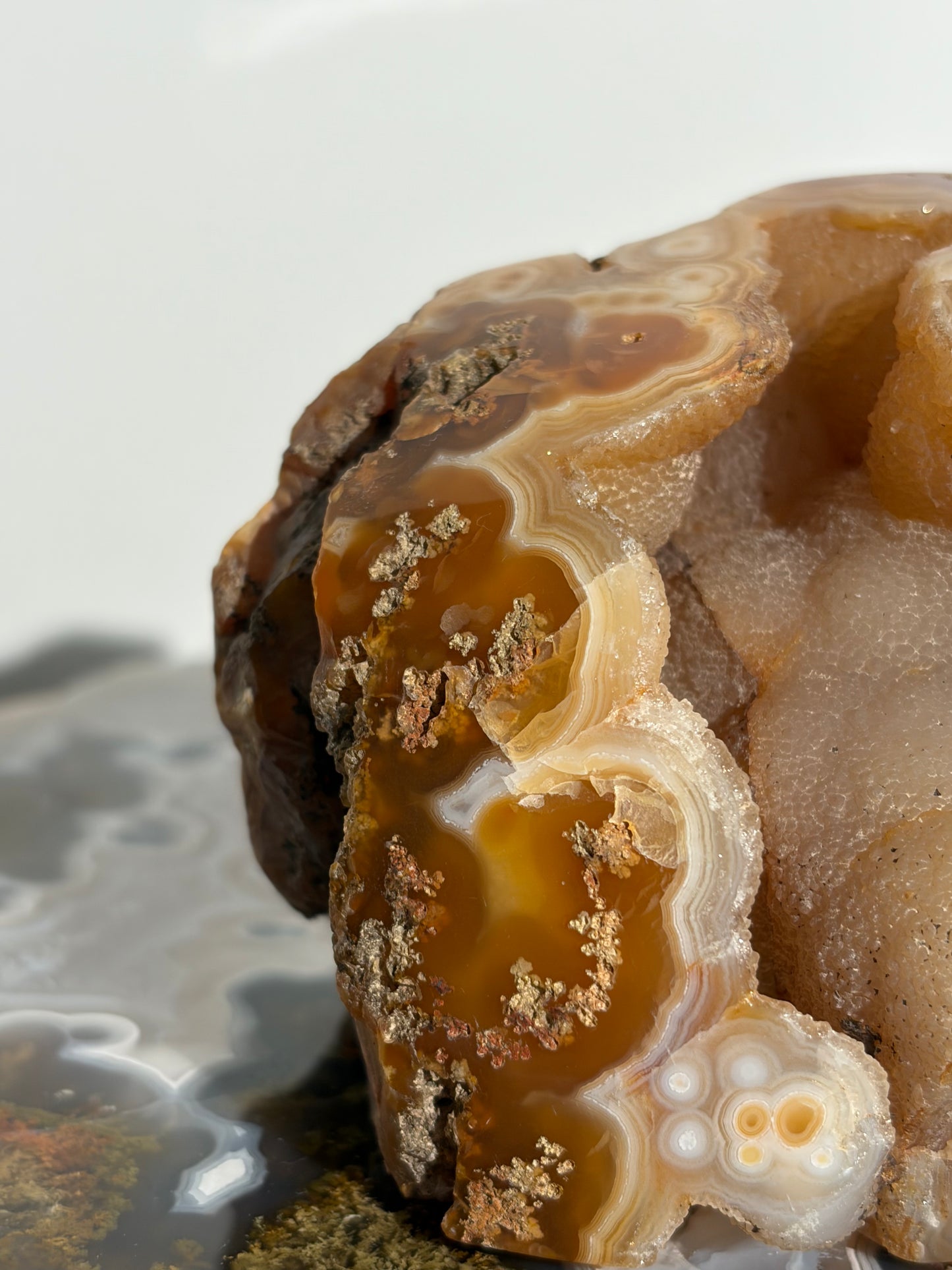 “Solar Garden” Honey World Nebula Agate with Quartz Freeform