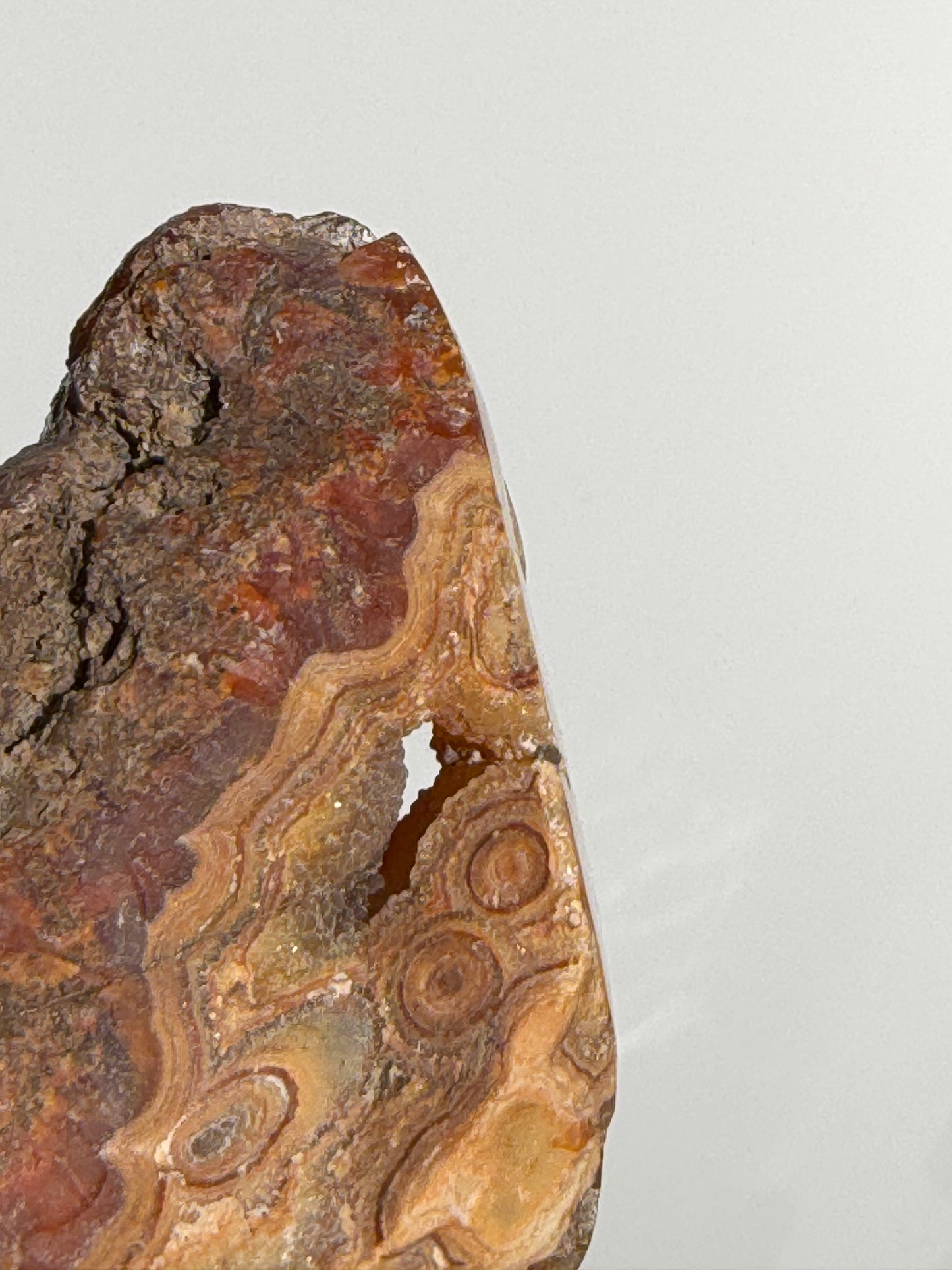 “Solar Garden” Honey World Nebula Agate with Quartz Freeform