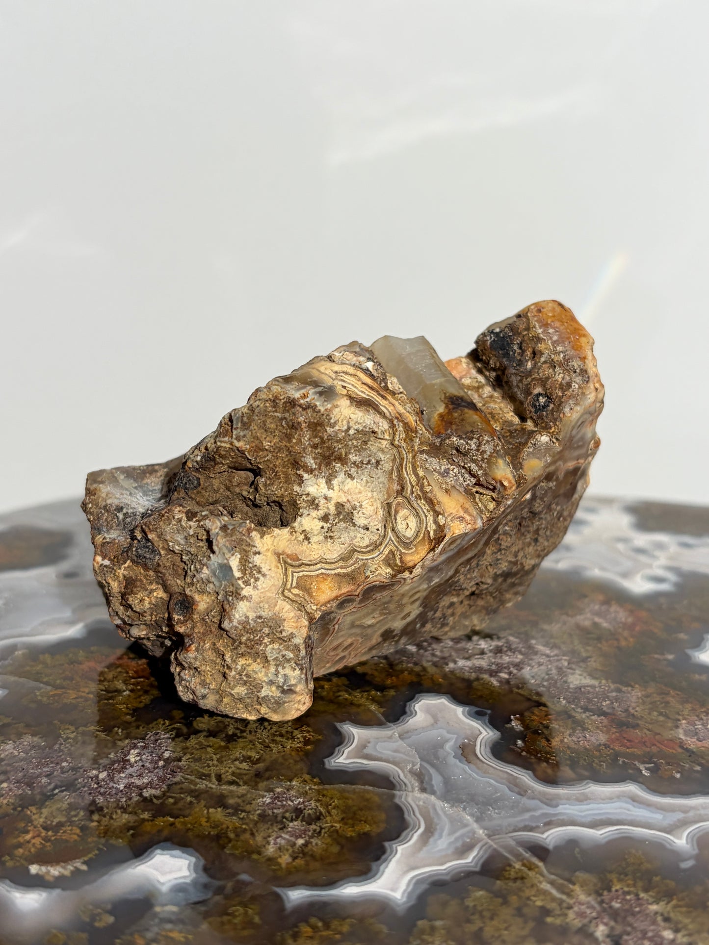“Cosmos Aureus” Semi Polished Orbicular Nebula Agate Freeform
