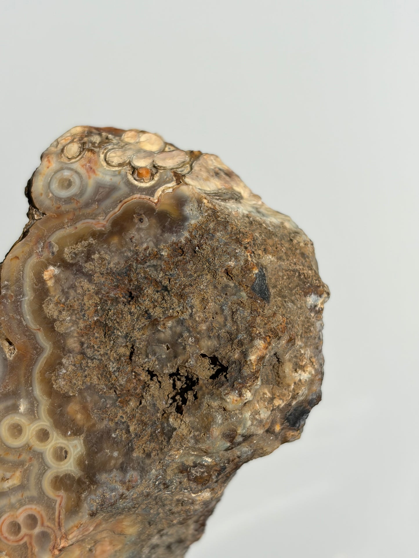 “Cosmos Aureus” Semi Polished Orbicular Nebula Agate Freeform