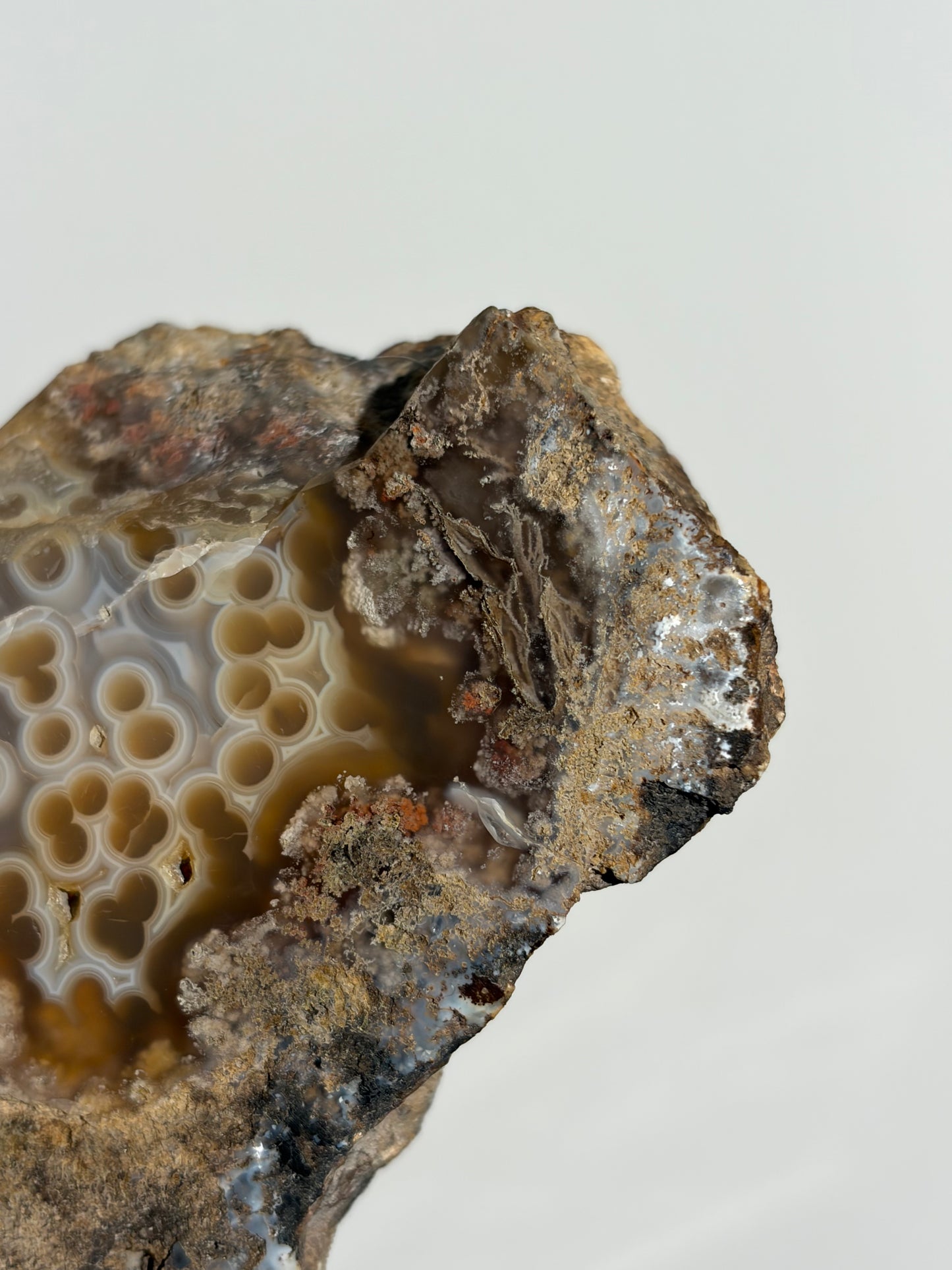“Cosmos Aureus” Semi Polished Orbicular Nebula Agate Freeform