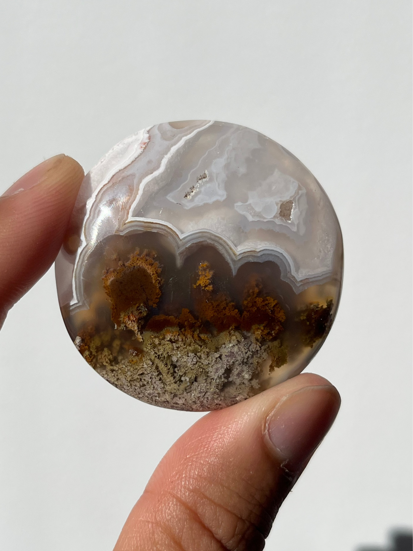 Nebula Agate with Scenic Moss Medallion F