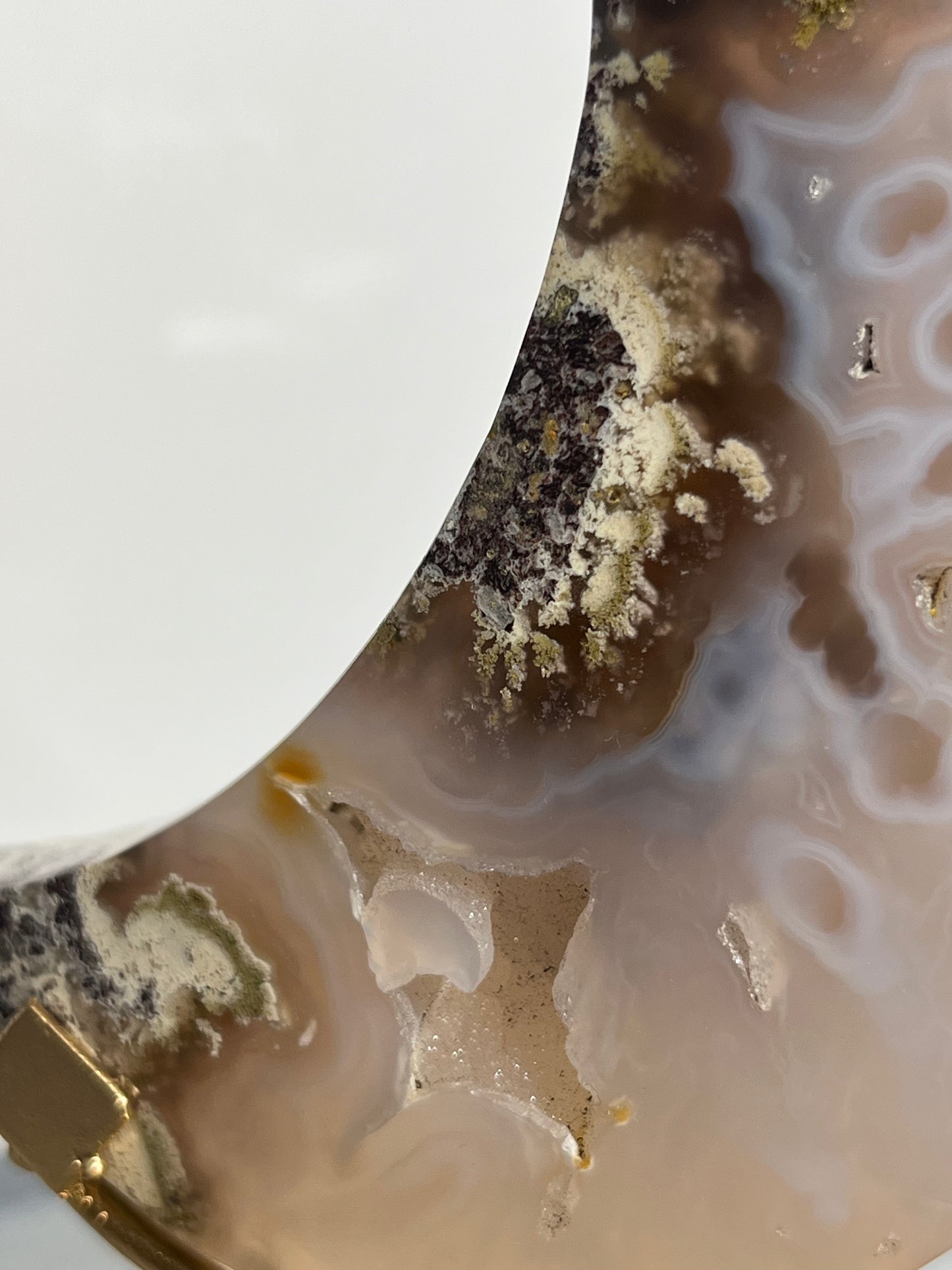 "Orby Phantoms" Druzy Jelly Orbicular Nebula Agate Moon Carving on Stand