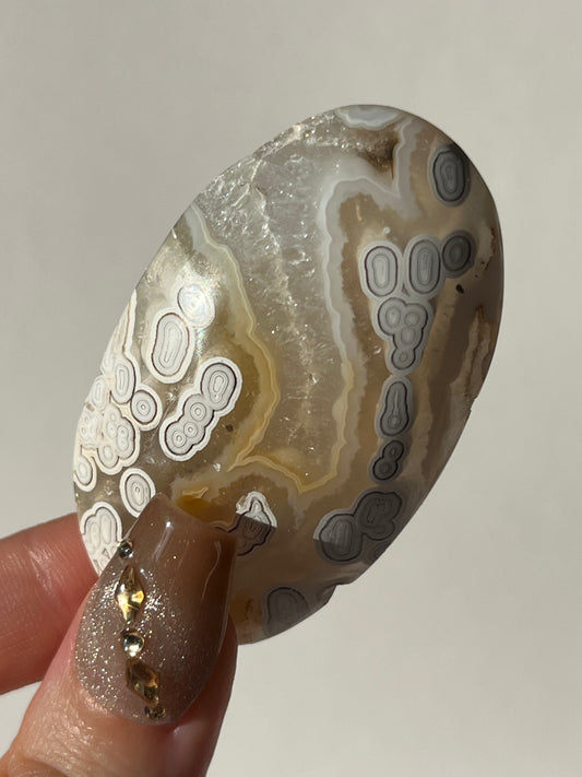 Orbicular Nebula Agate Palmstone with Dendritic Inclusions B (Collector's Choice)