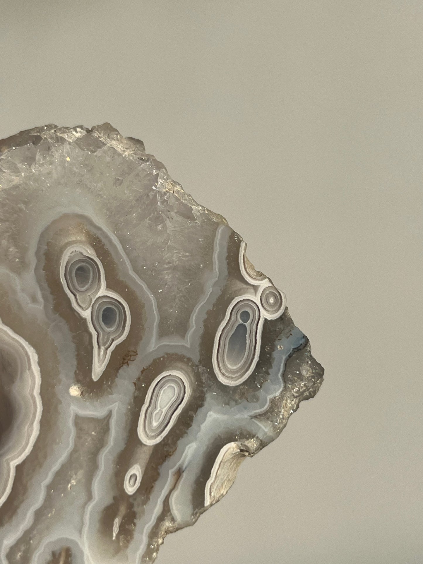 Orbicular Nebula Agate and Quartz Slab with Multicoloured Moss (Mined 2024)