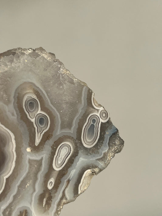 Orbicular Nebula Agate and Quartz Slab with Multicoloured Moss (Mined 2024)