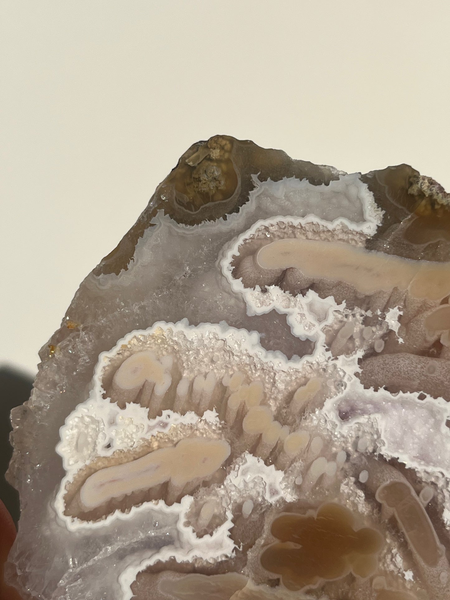 ‘Coralline Tides’ Spherulitic Columnar Nebula Agate with Scenic Moss, Amethyst and Natural Carnelian Semi Polished Freeform