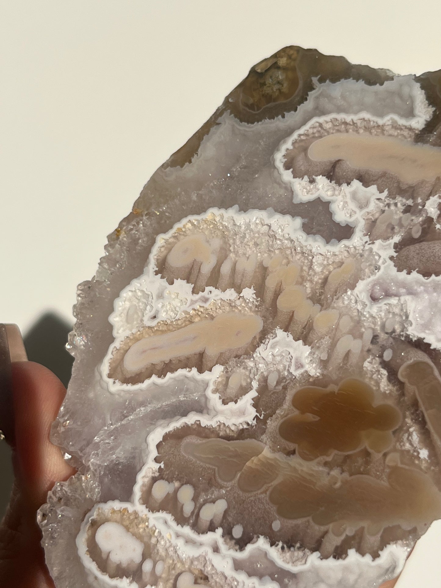 ‘Coralline Tides’ Spherulitic Columnar Nebula Agate with Scenic Moss, Amethyst and Natural Carnelian Semi Polished Freeform