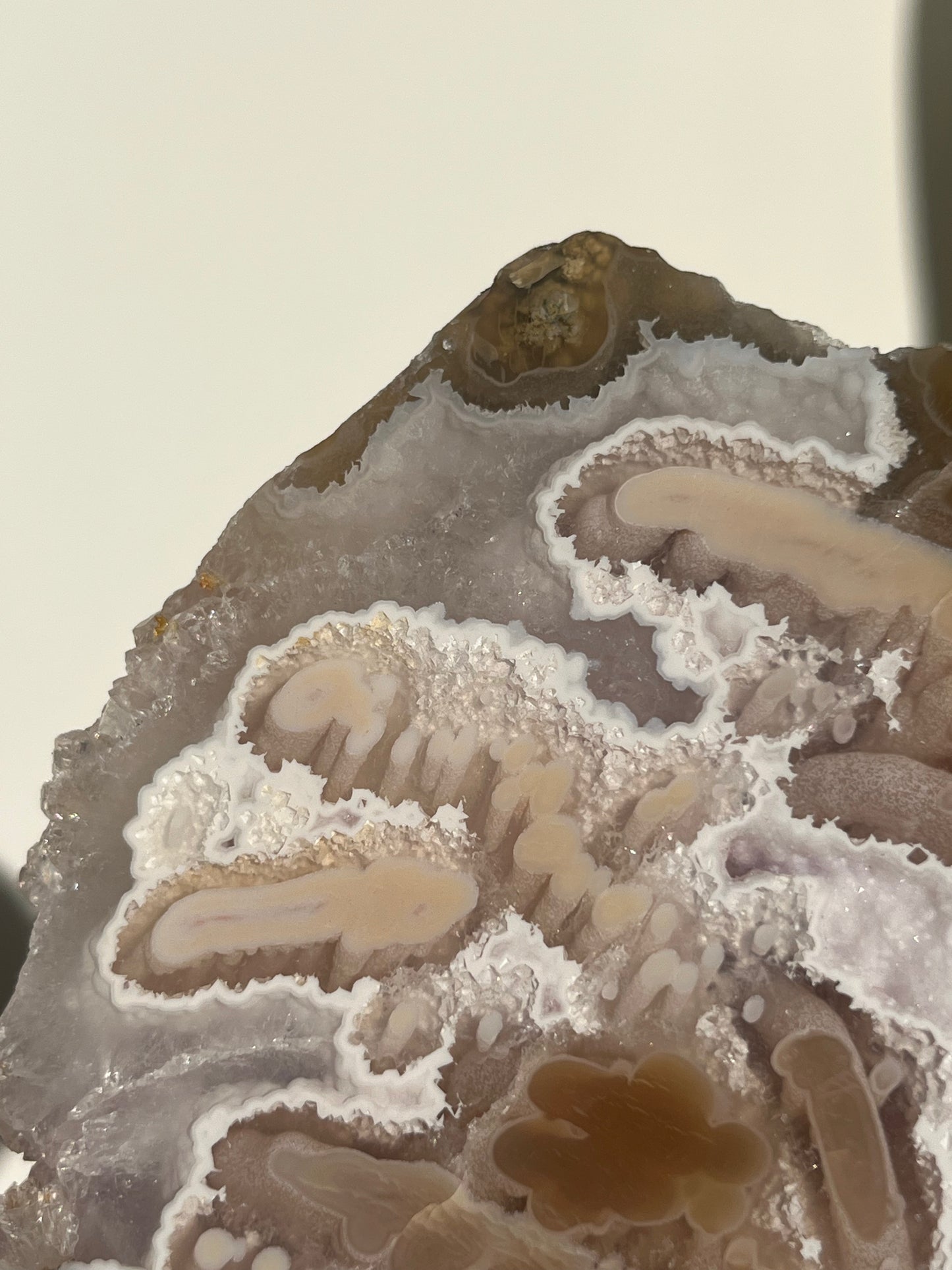 ‘Coralline Tides’ Spherulitic Columnar Nebula Agate with Scenic Moss, Amethyst and Natural Carnelian Semi Polished Freeform
